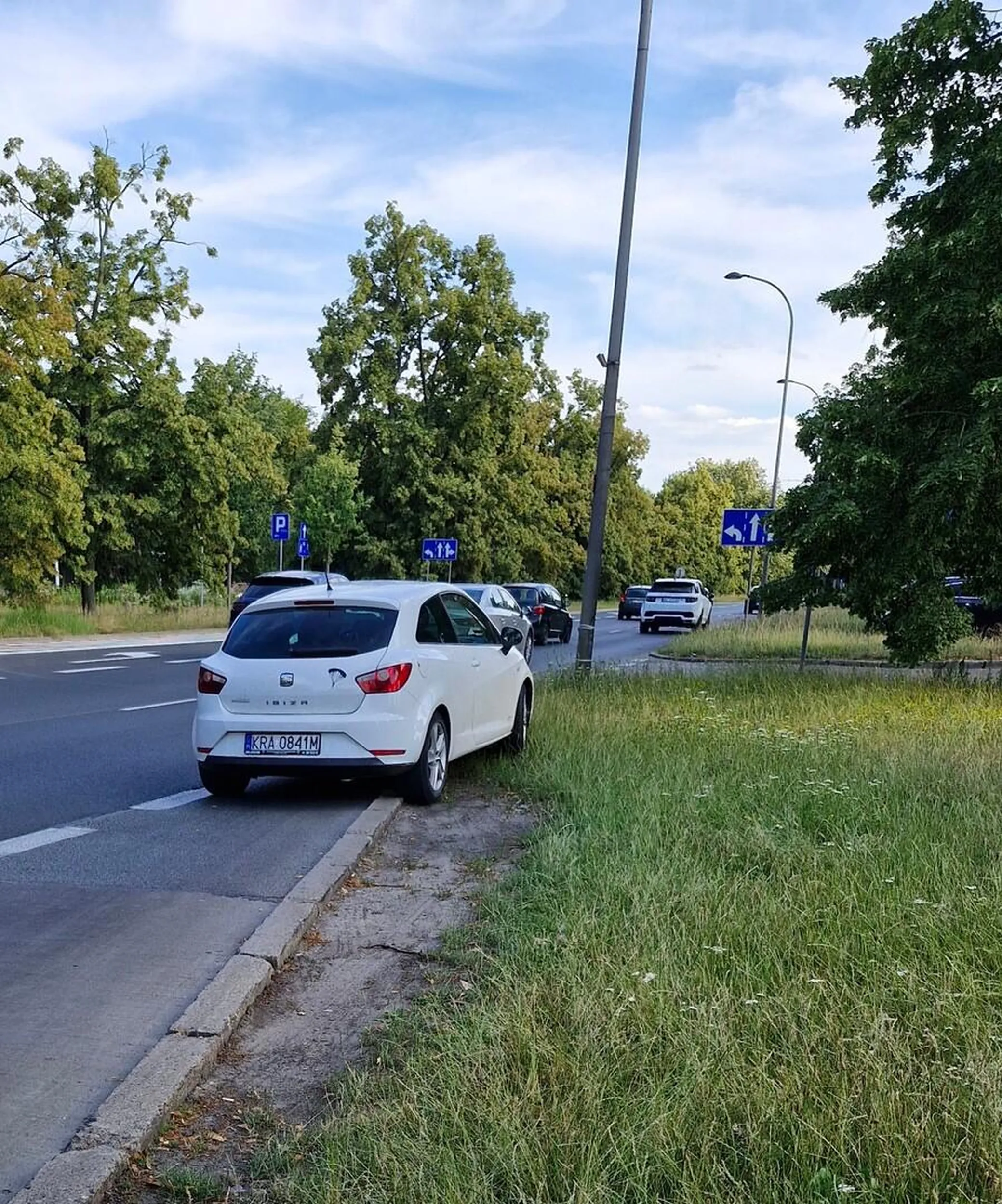 Może w Krakowie się rozjeżdża zieleń, gdzie się chce, ale jak jesteś w innym mieście gościem, to jednak wstyd