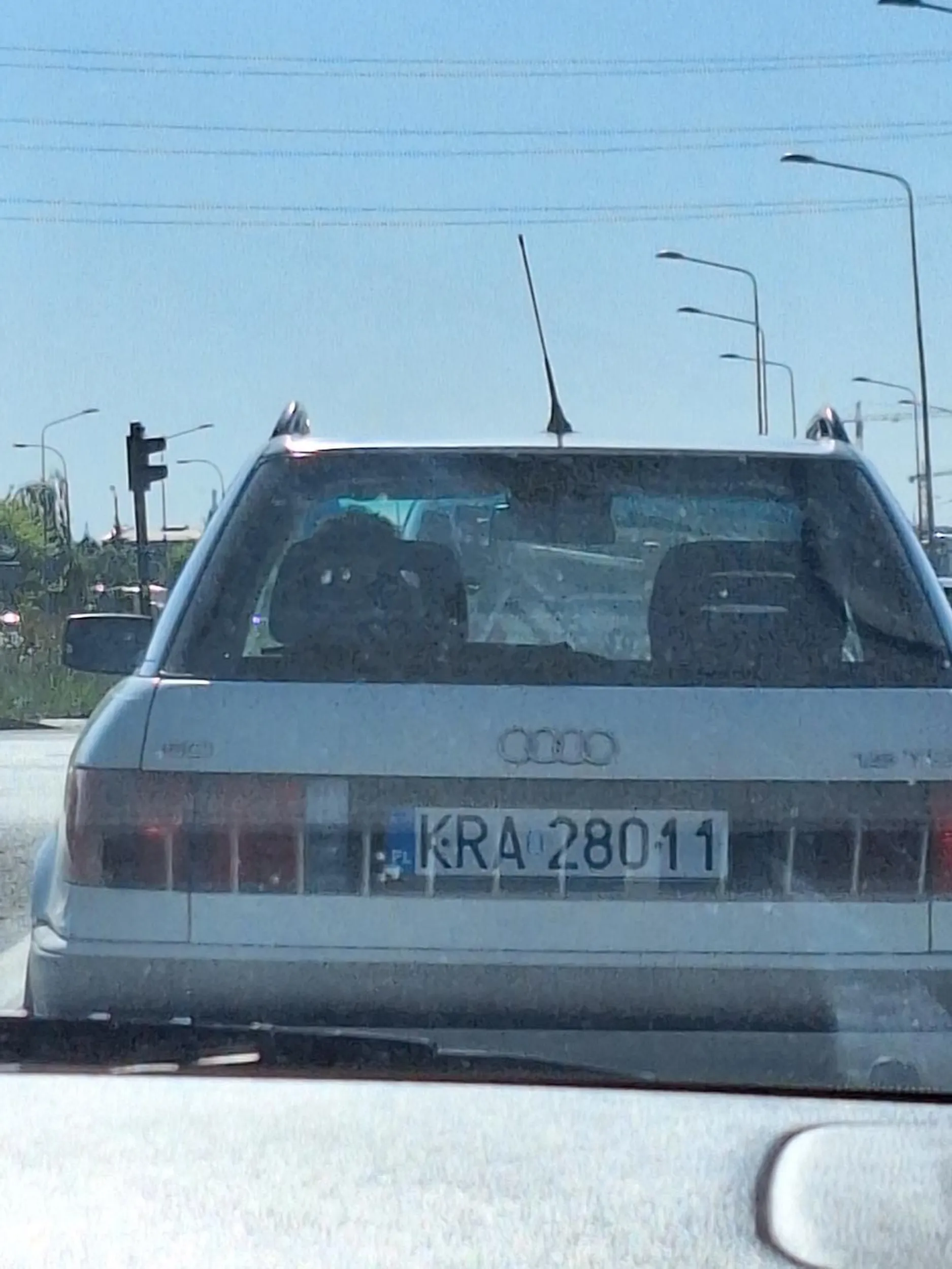 Strasznie kopci i nie umie zmieniać pasa. Patologia.