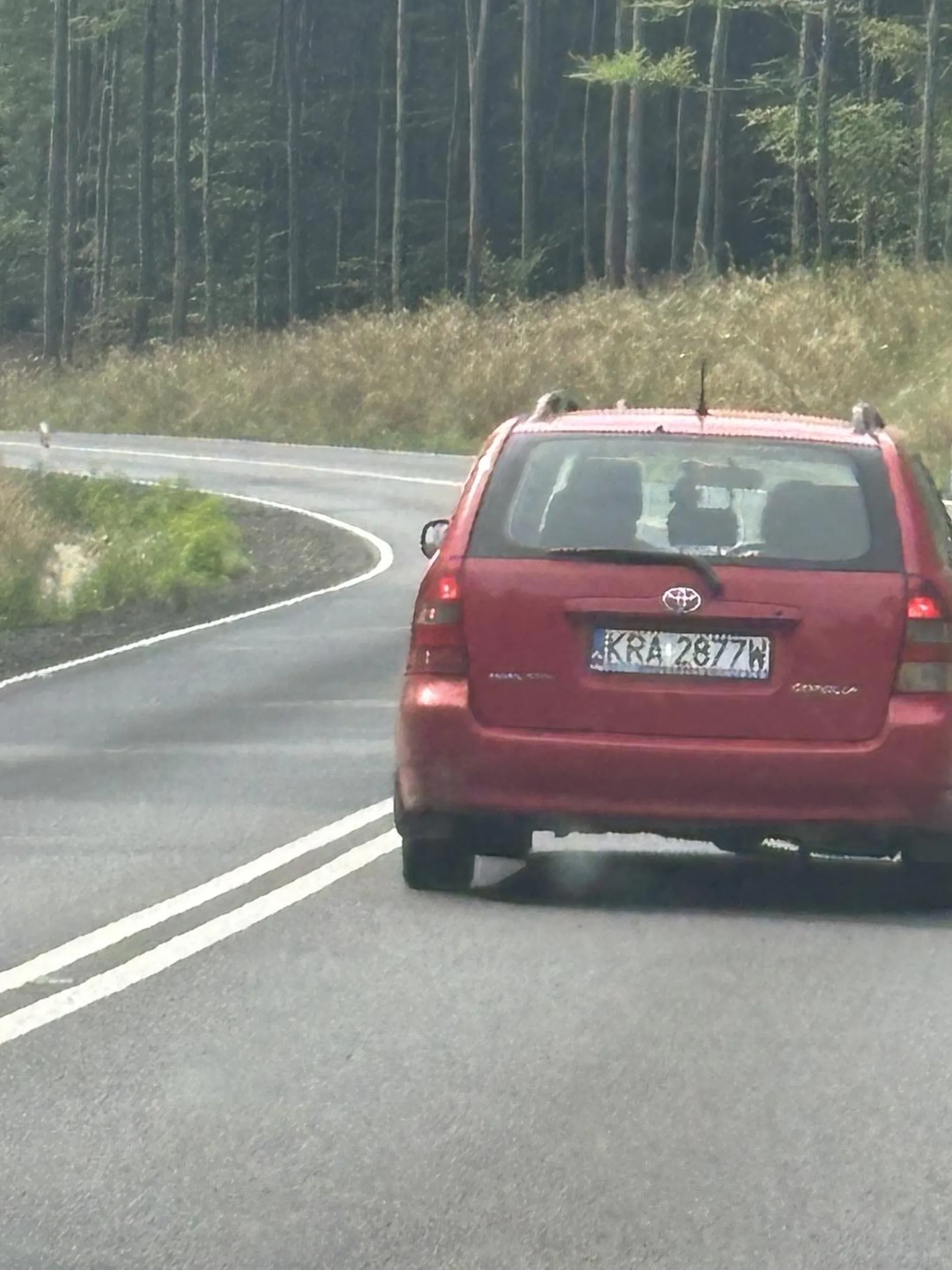 Wymusza pierwszeństwo na rondzie. Dwa ronda i ta sama sytuacja, nawet się nie obejrzy.