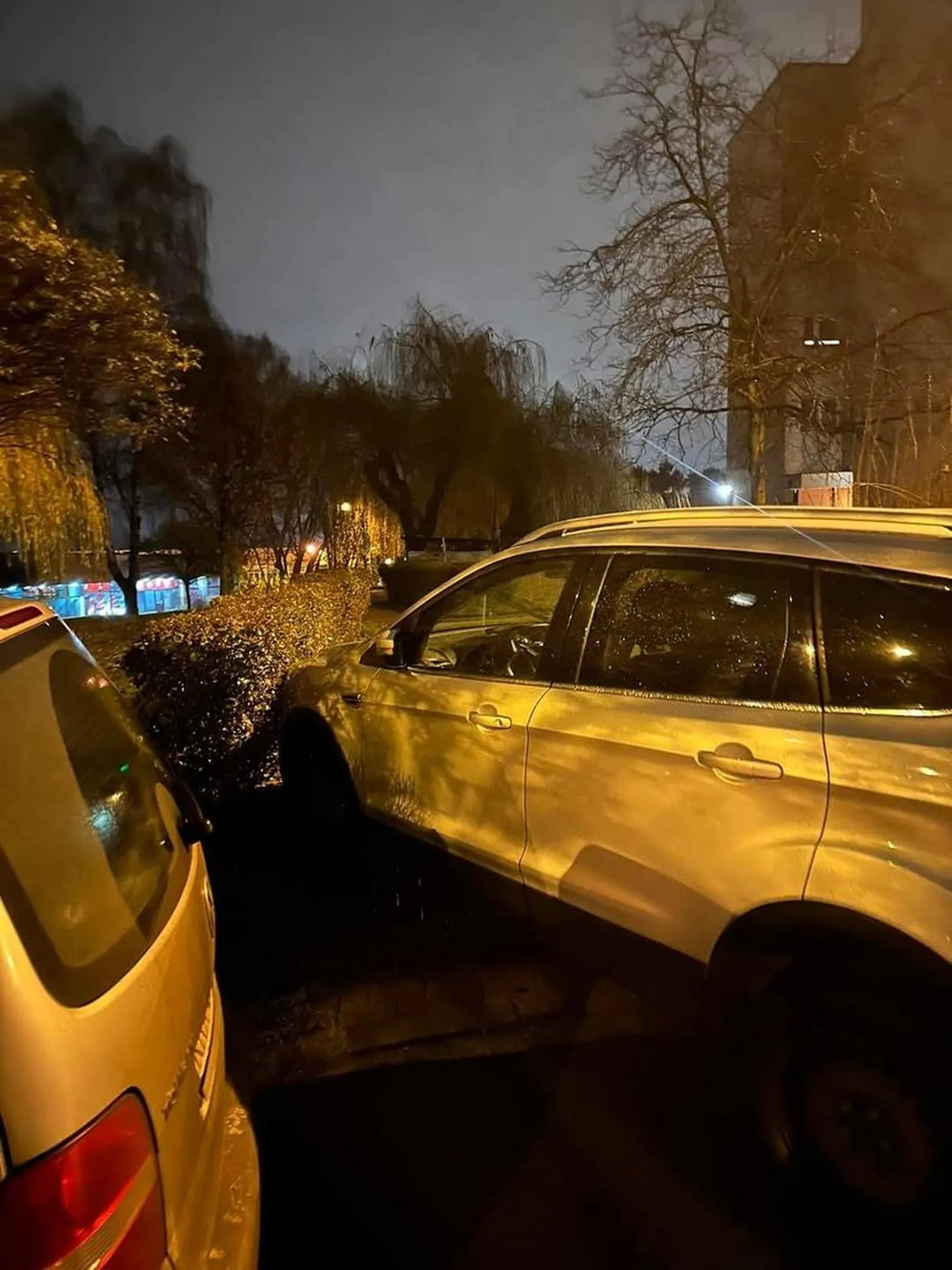 Wjechanie na cały chodnik i zastawienie całkowicie wyjścia. Prawo jazdy znalezione w chipsach.