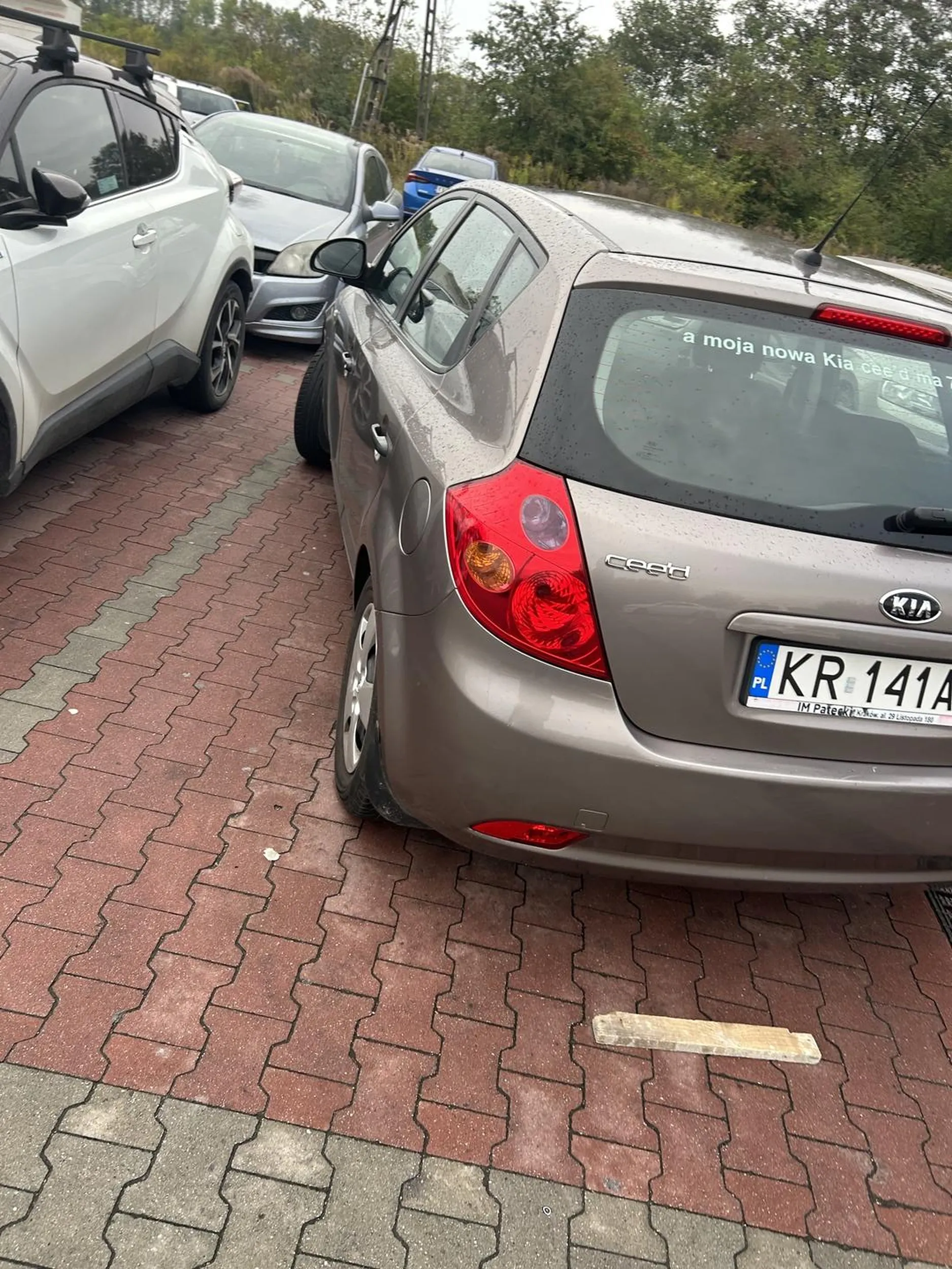 Prosto parkować nie nauczyli?