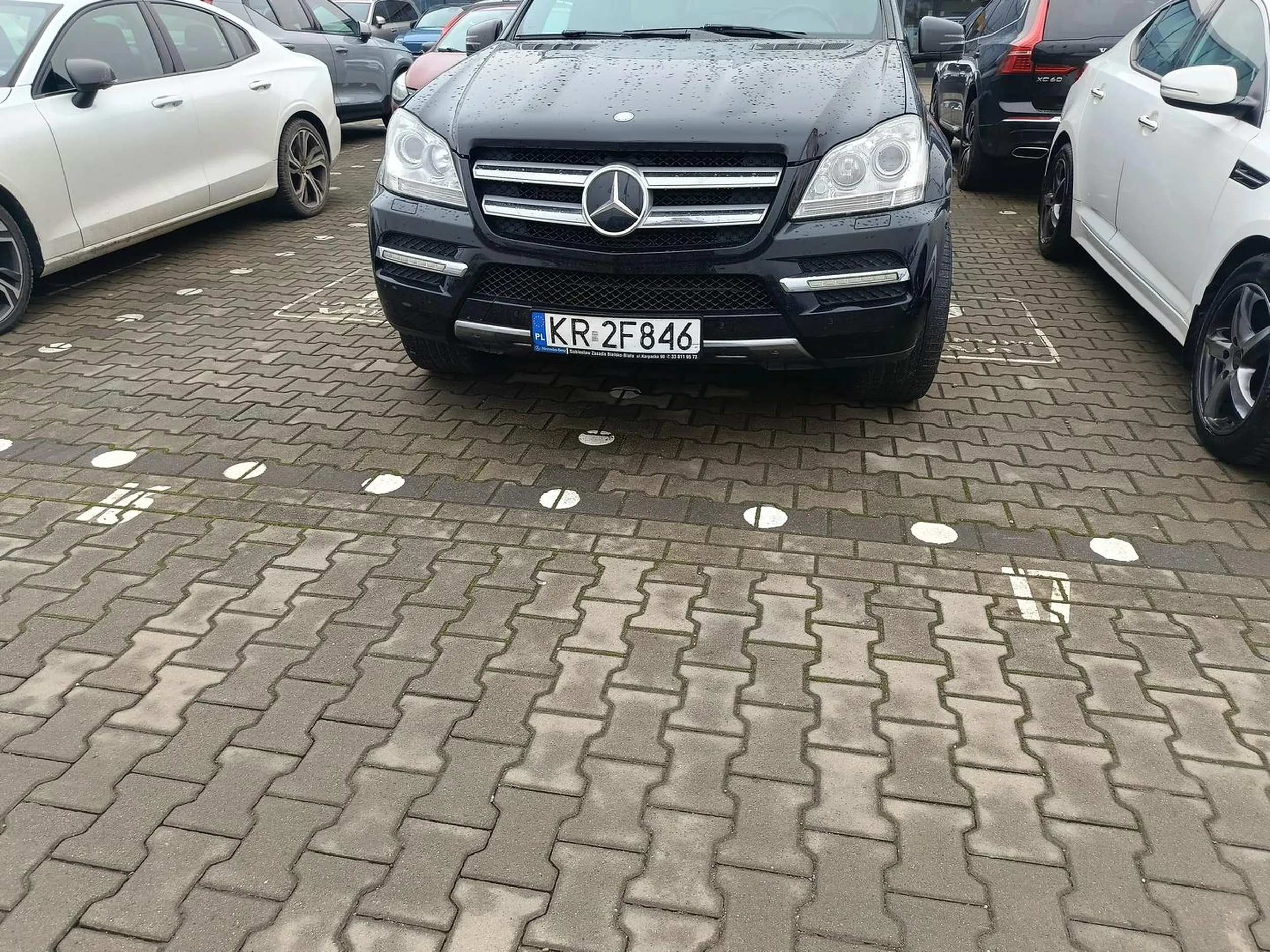 Parkuje jak zjeb typowo dla mercedesa