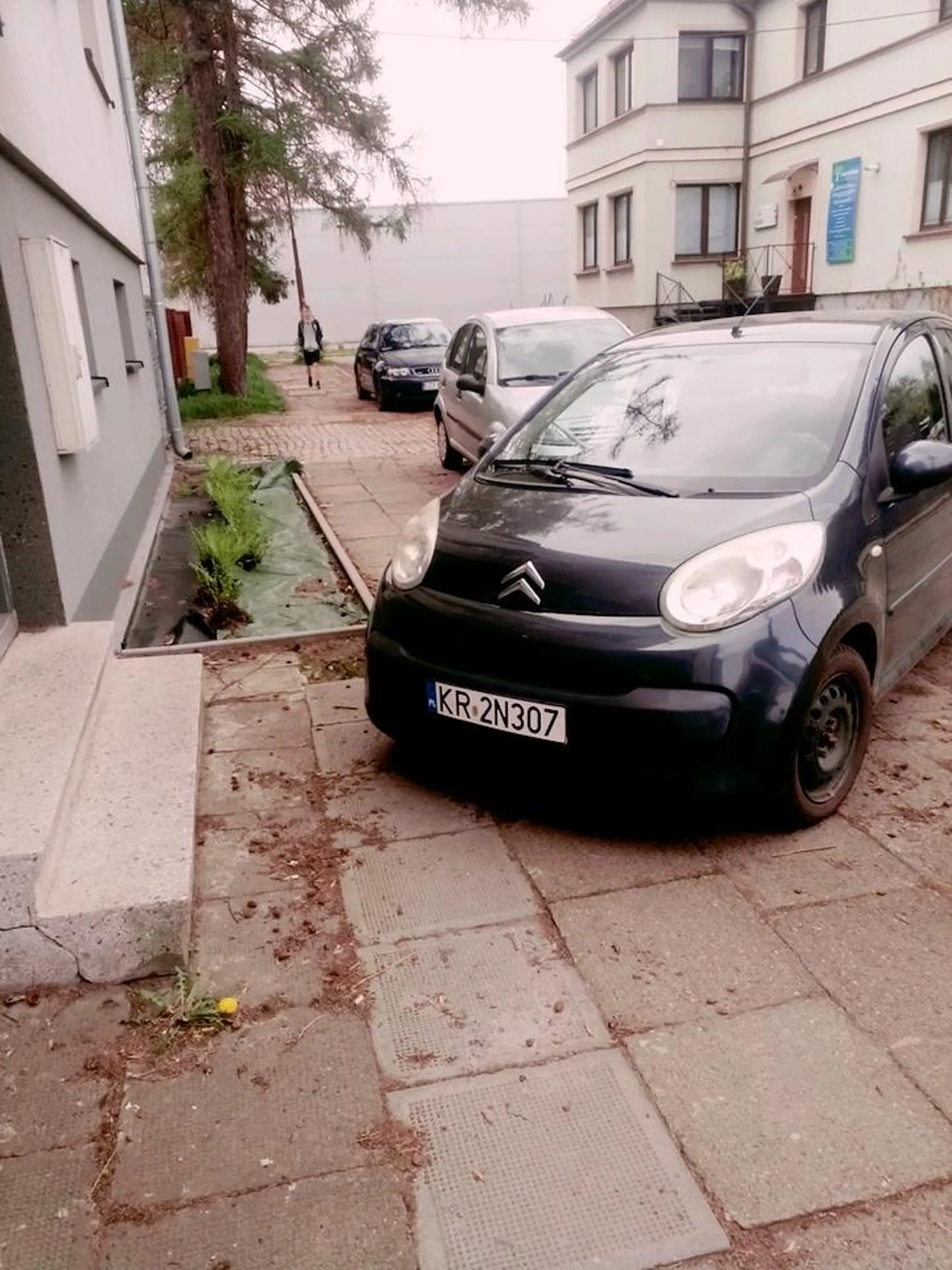 Pyskata gówniara nie widzi problemu w takim parkowaniu. Stwierdziła,że nikomu to nie przeszkadza.