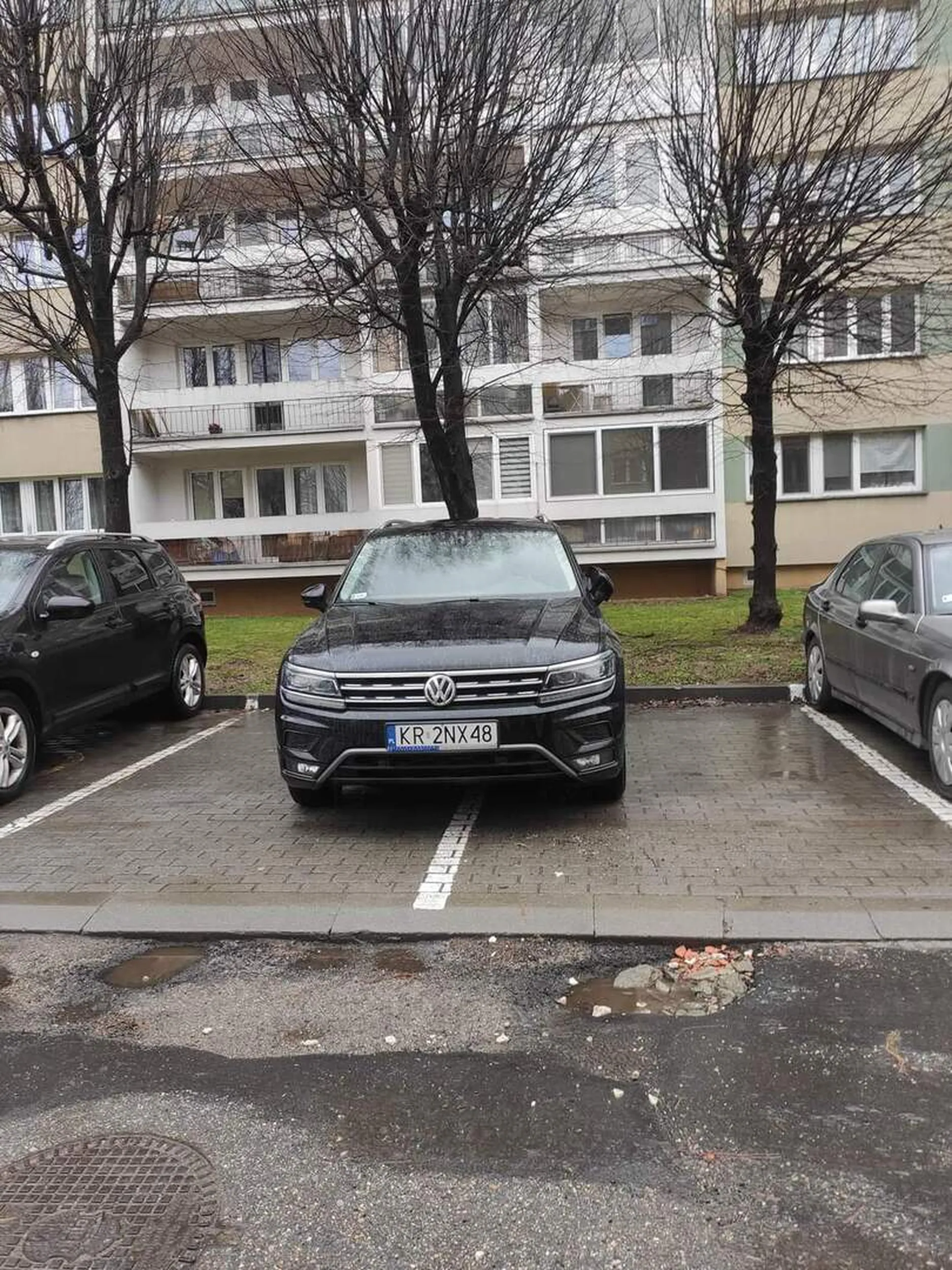 Mistrz parkowania na os Albertyńskim