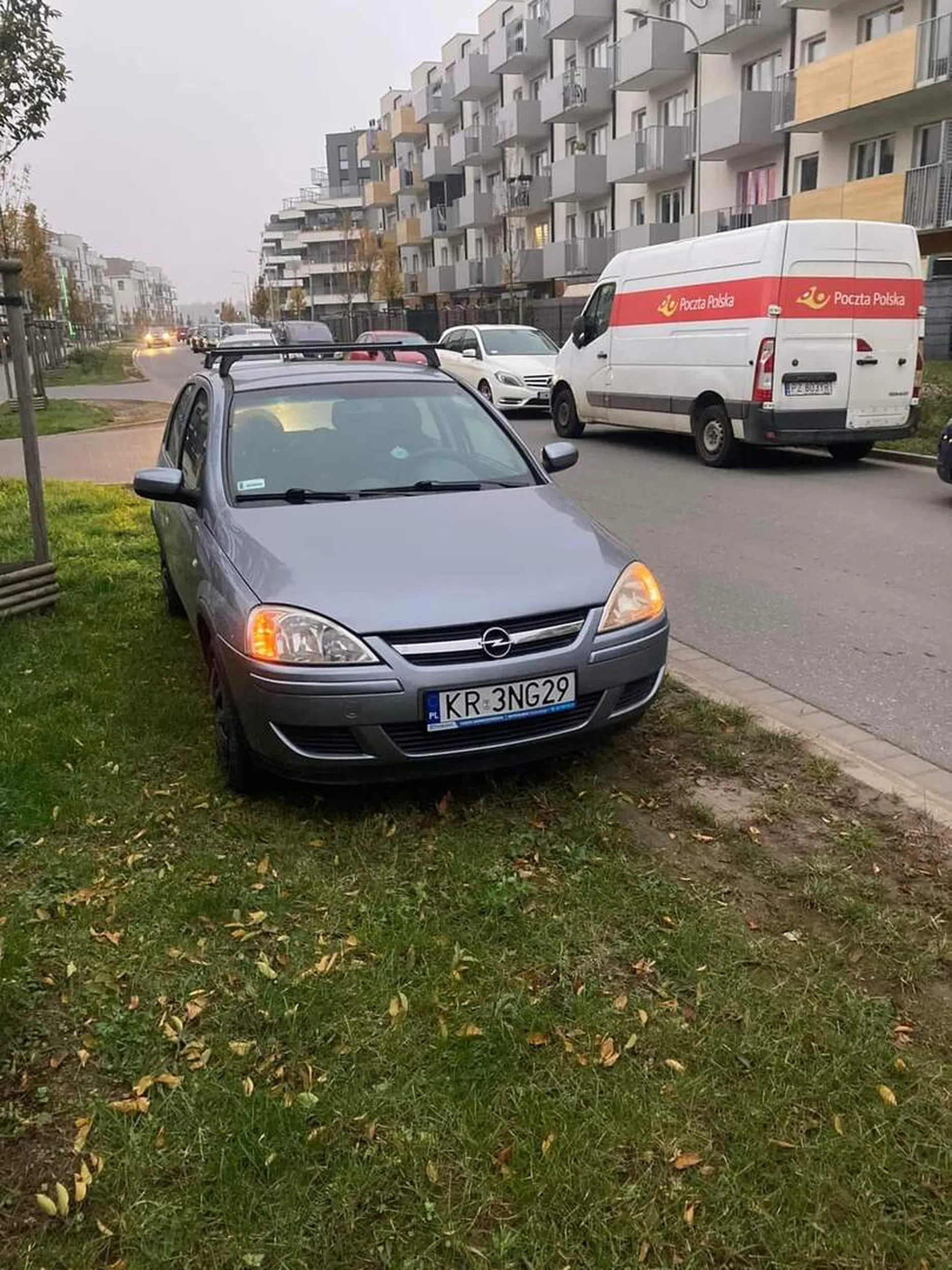 Parkowanie na zieleni