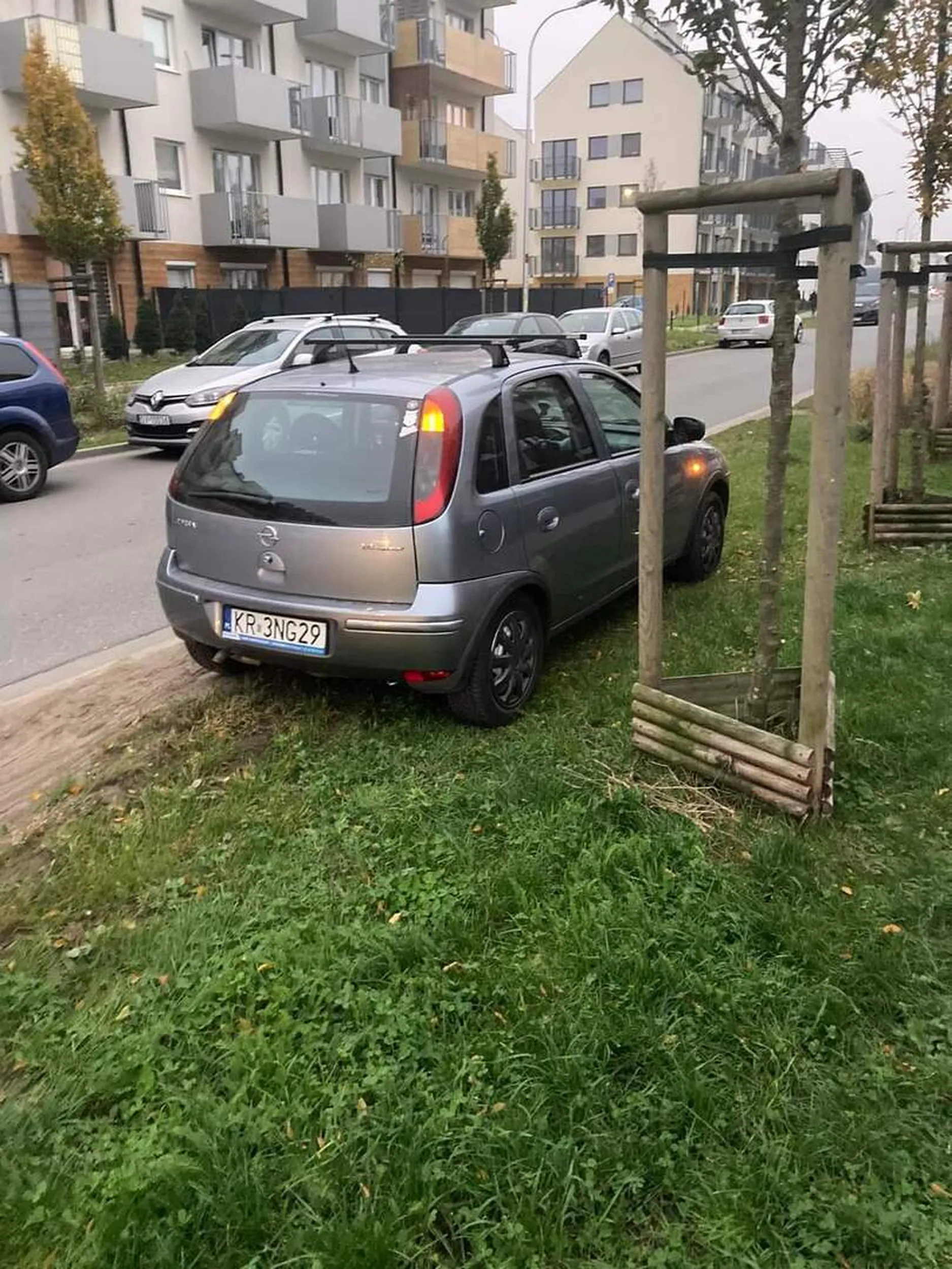 Parkowanie na zieleni