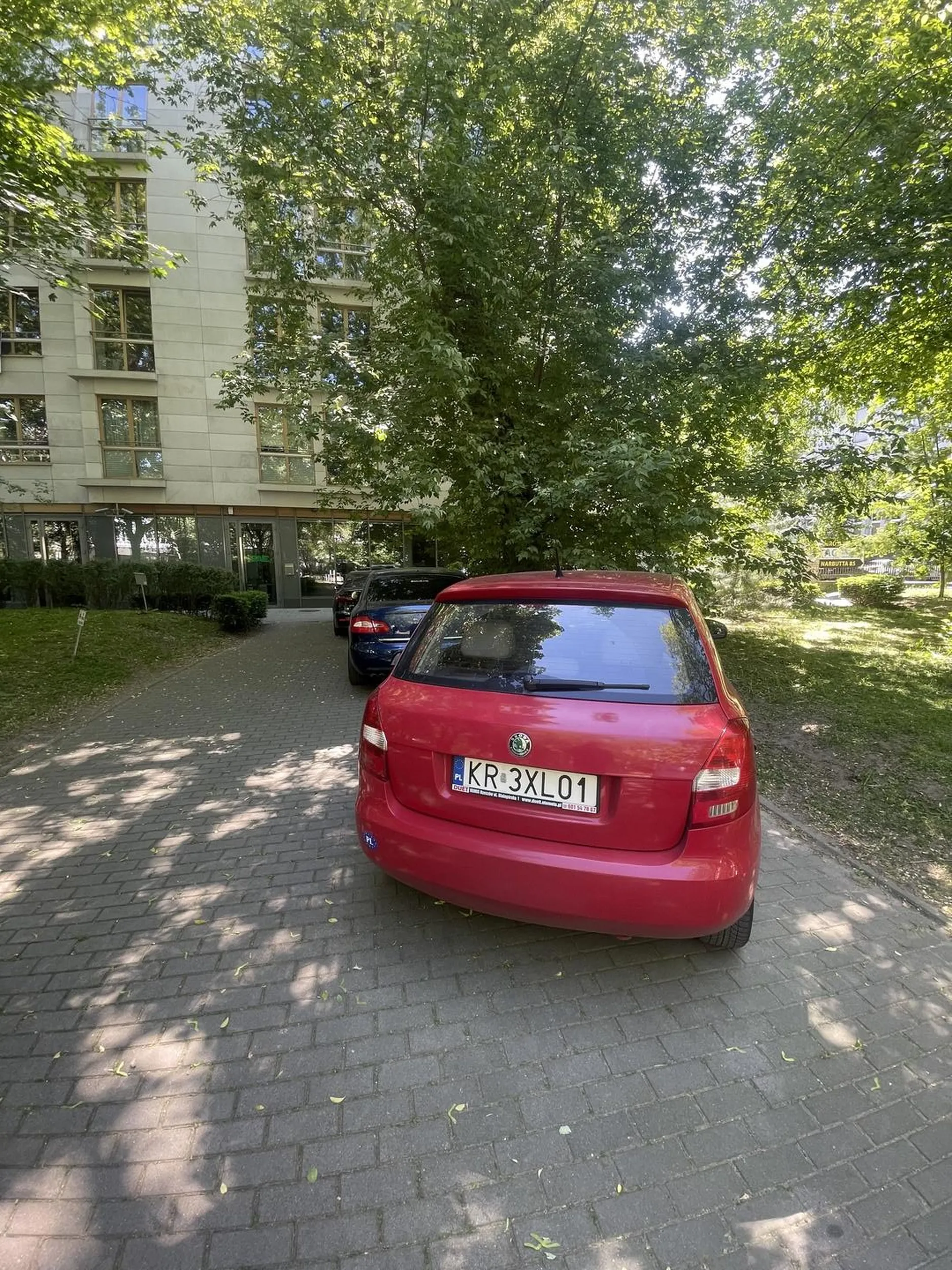 Basen zamiast głowy mistrz parkowania