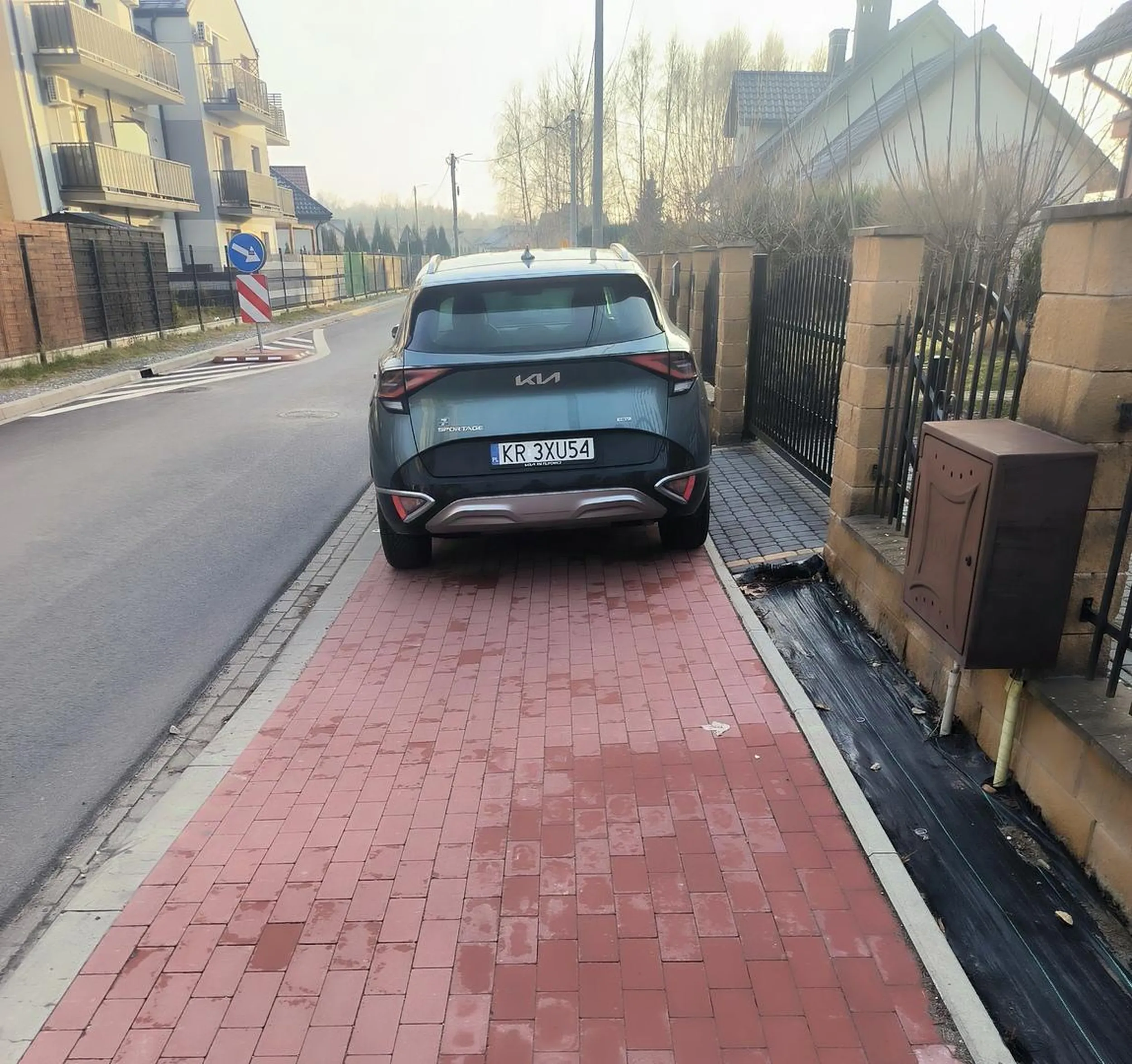 Cały chodnik burak zastawia