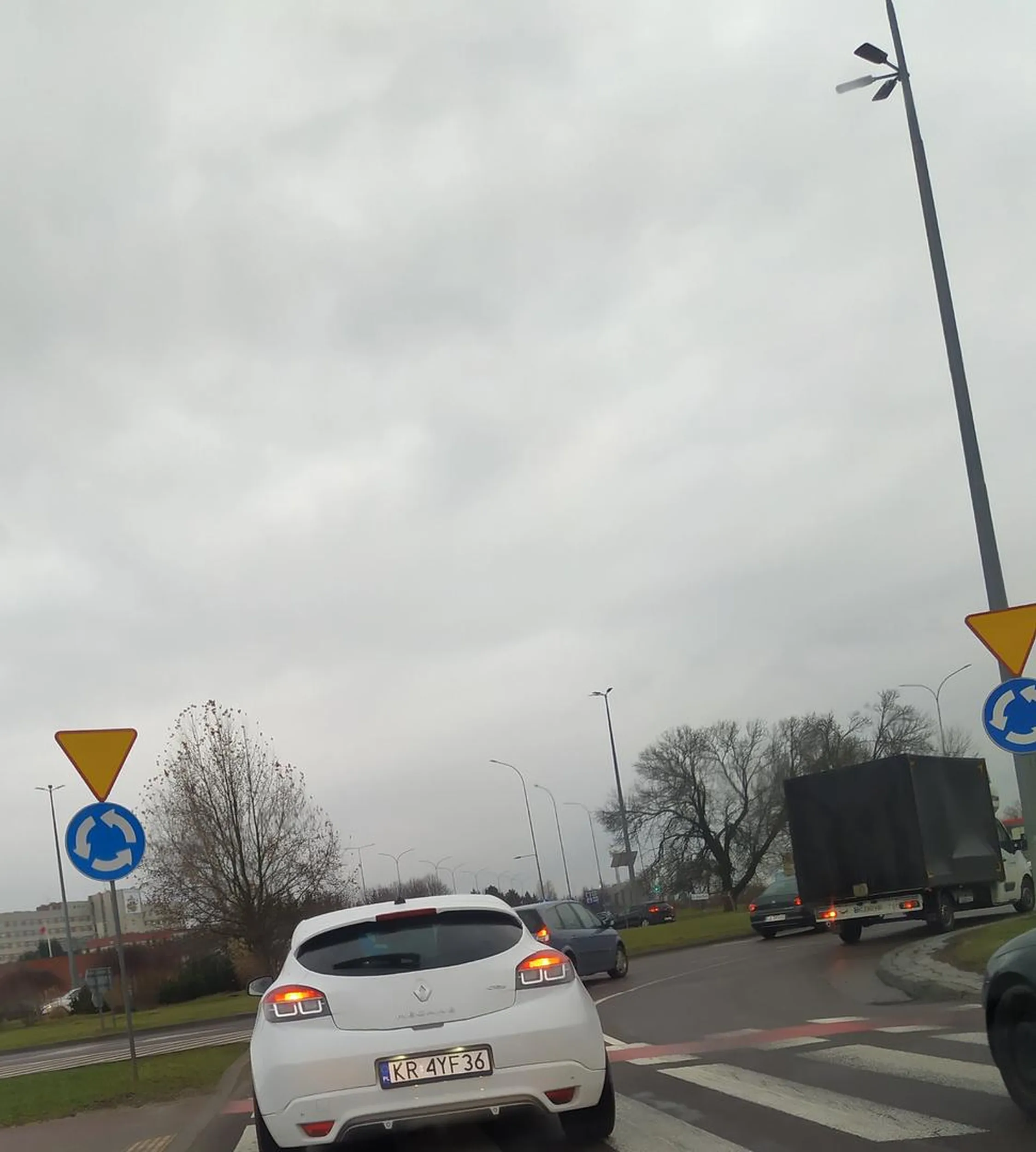 Uwaga na zj3ba. Siada na ogonie, miga i gestykuluje. Mam nadzieję że niebawem ktoś cię wyjaśni.