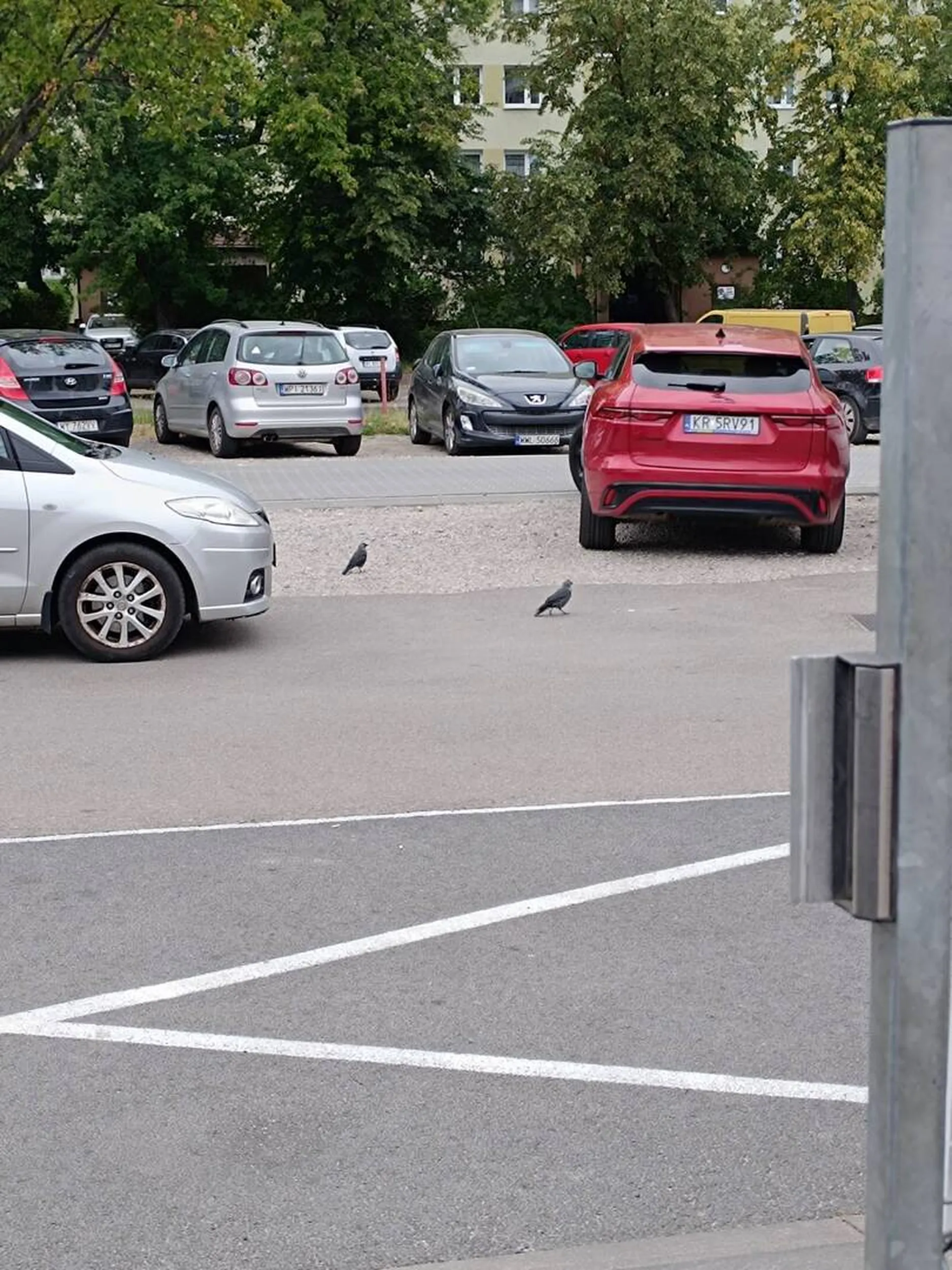 „Pani” ewidentnie rozchwiana emocjonalnie,szukająca na siłę awantury. Obraża osoby niepełnosprawne