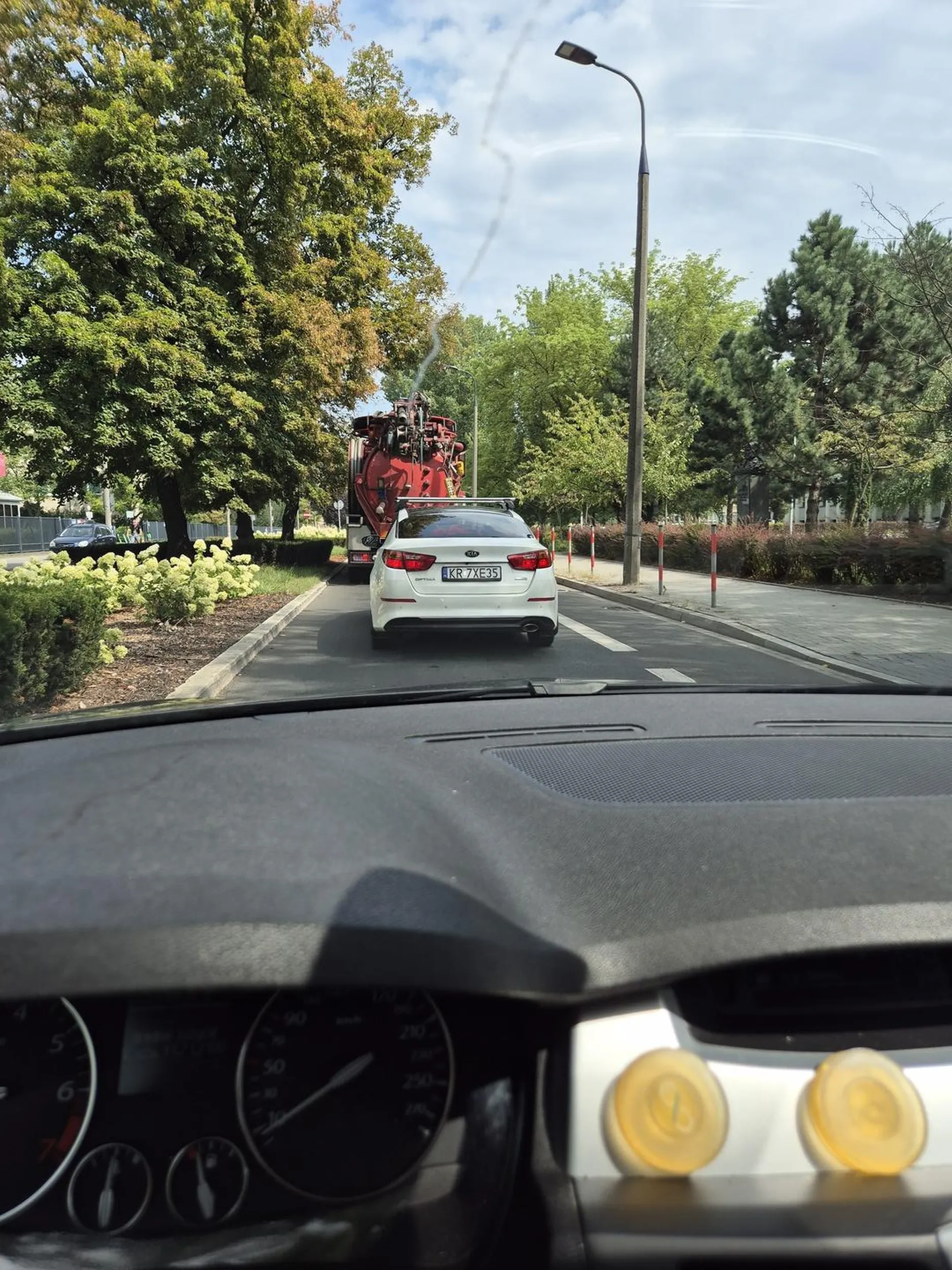 Śmieciarz bezczelny