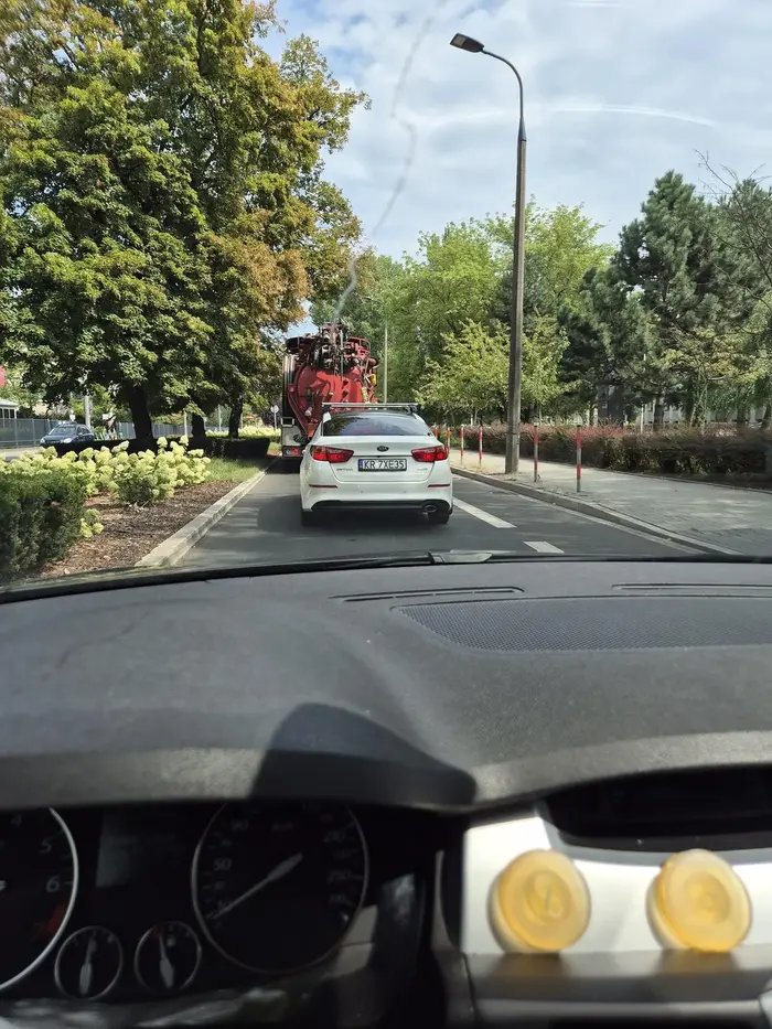 Śmieciarz bezczelny