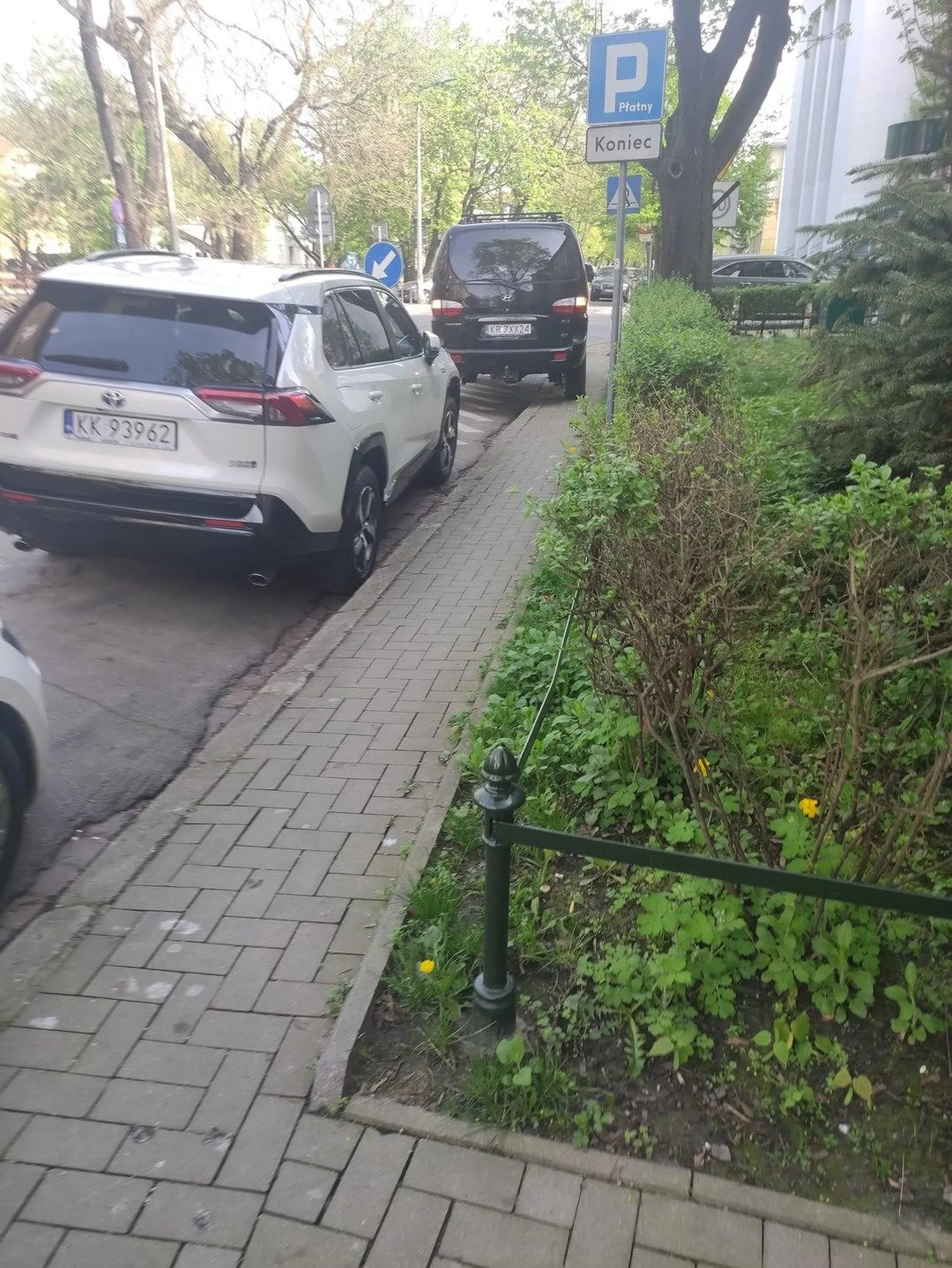 Baran parkuje tuż przed przejściem dla pieszych, na miejscu wyłączonym z ruchu. Myśli, ze awaryjne dają niewidzialność