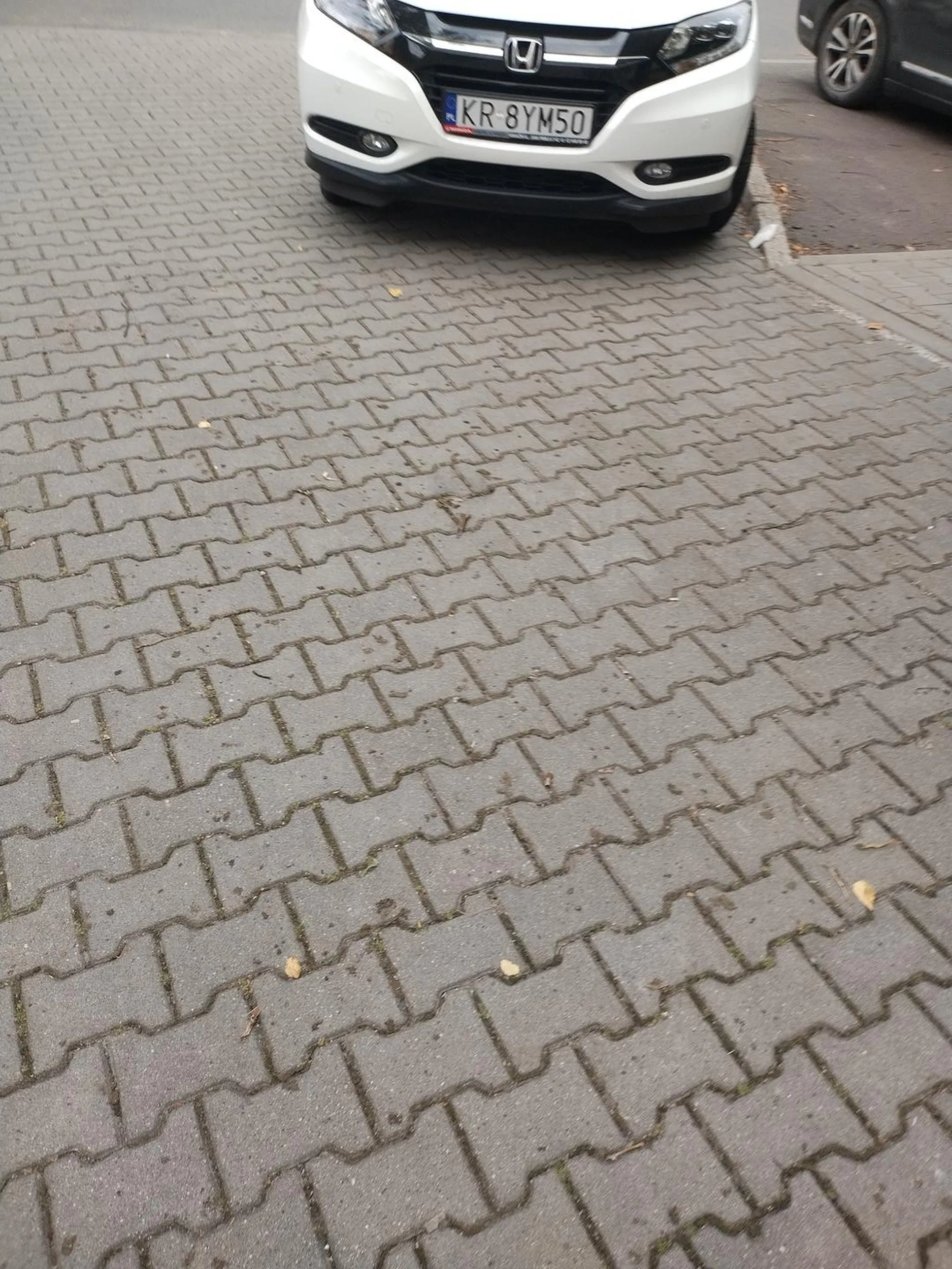 Szanowny Pan w biały dzień parkuje przy użyciu niespotykanej liczby słów wulgarnych. Polecam wizytę u psychiatry!