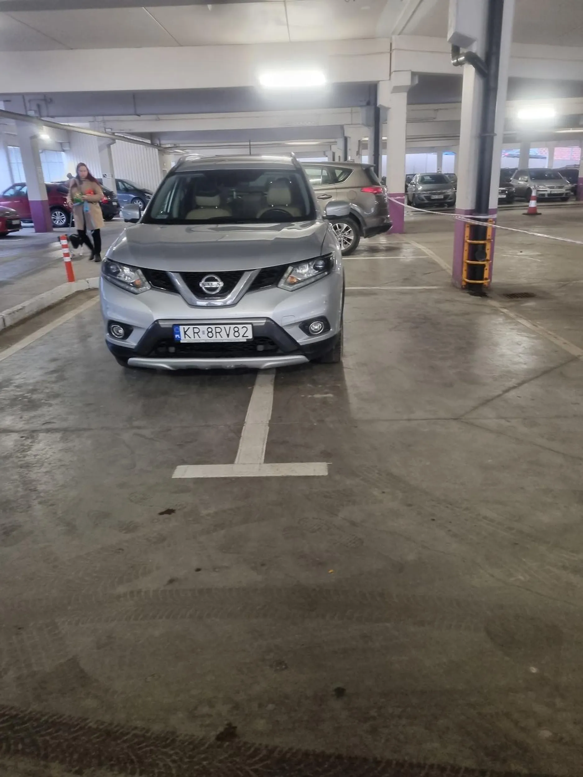 Prawojazdy znalezione w czipsach parkowanie przerasta umysl kierowcy do czego służą lrozrysowane linie.