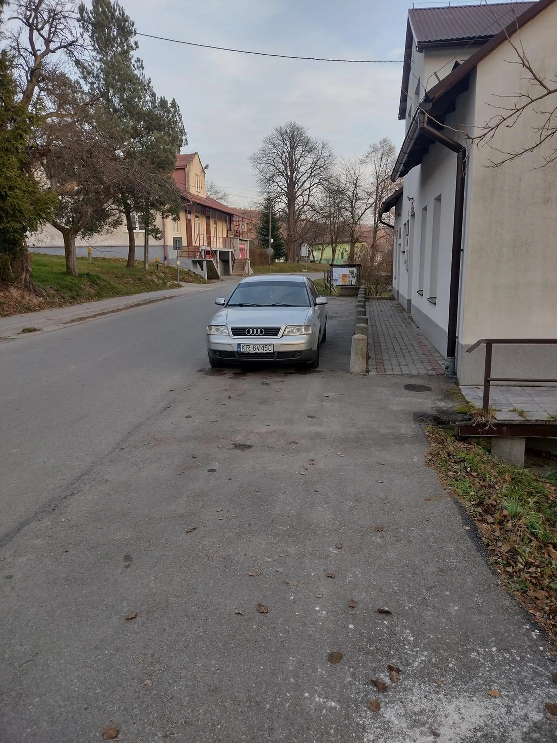 Żeby ruda jak najszybciej to kaudi zjadła i następnym razem ktoś ujebał prawe lusterko. Nie dość, że stoi tuż przy drodze, to już powoli ruda picz się powoli dobiera do tego złoma.