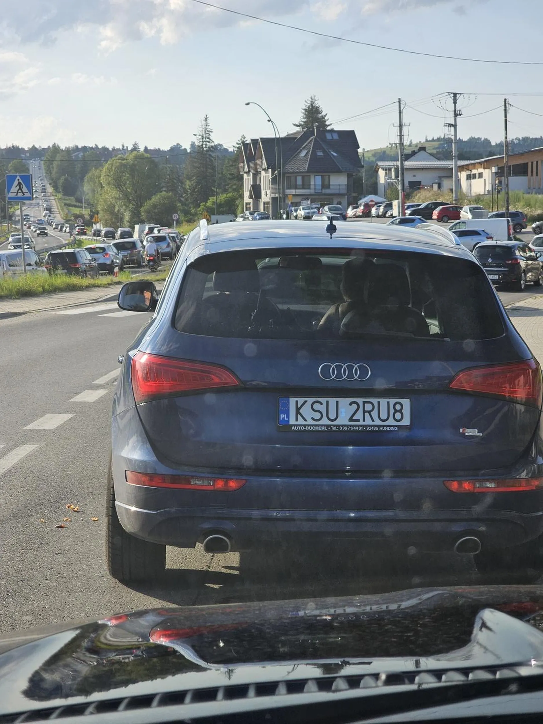 Śmieć z Audi stojąc w korku wypierdziela śmieci przez okno (jakieś ogryzki). Dwukrotne trąbienie nie sprawiło żeby przestał. Bezczelny dupek i śmieć.