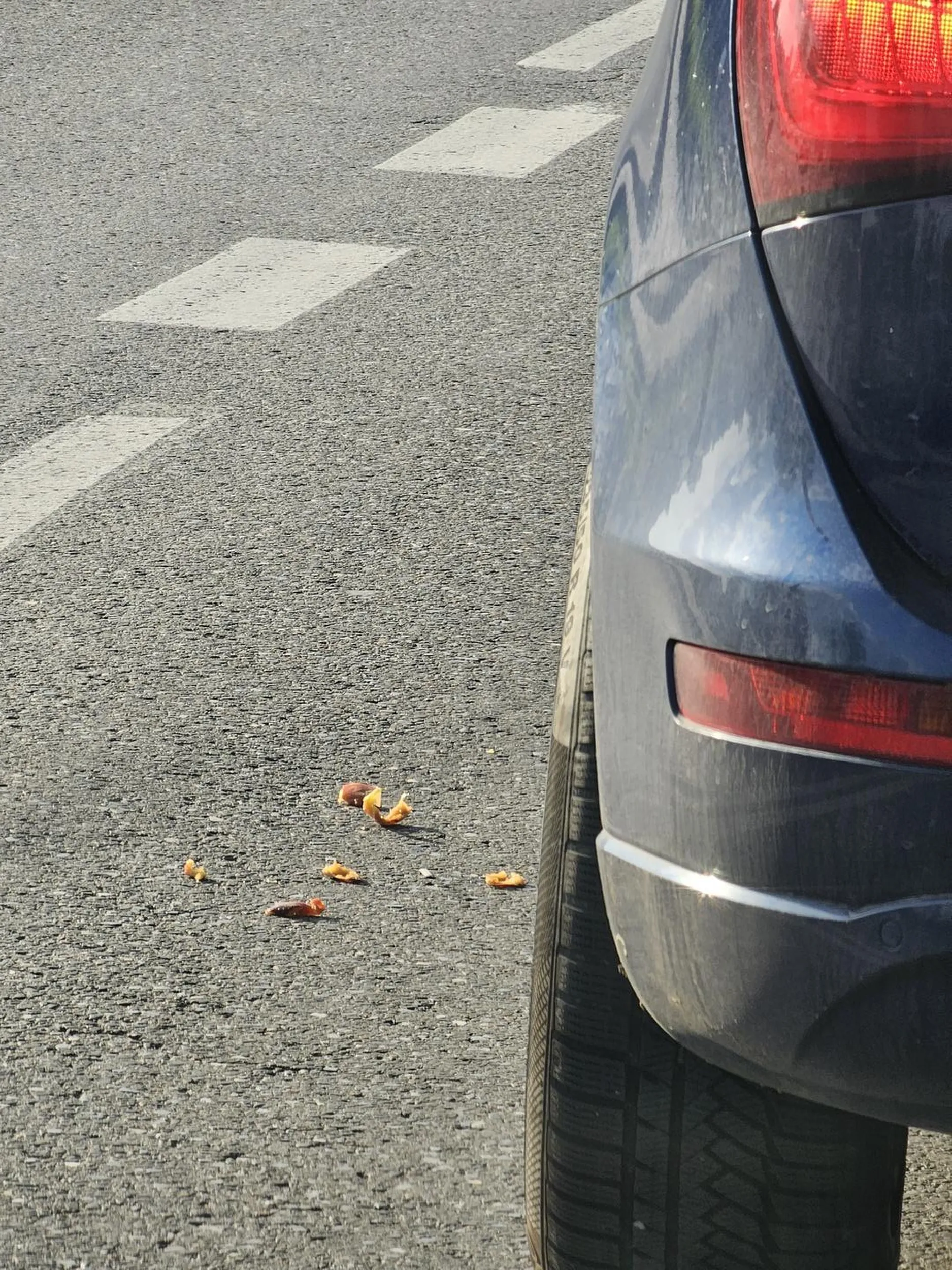 Śmieć z Audi stojąc w korku wypierdziela śmieci przez okno (jakieś ogryzki). Dwukrotne trąbienie nie sprawiło żeby przestał. Bezczelny dupek i śmieć.