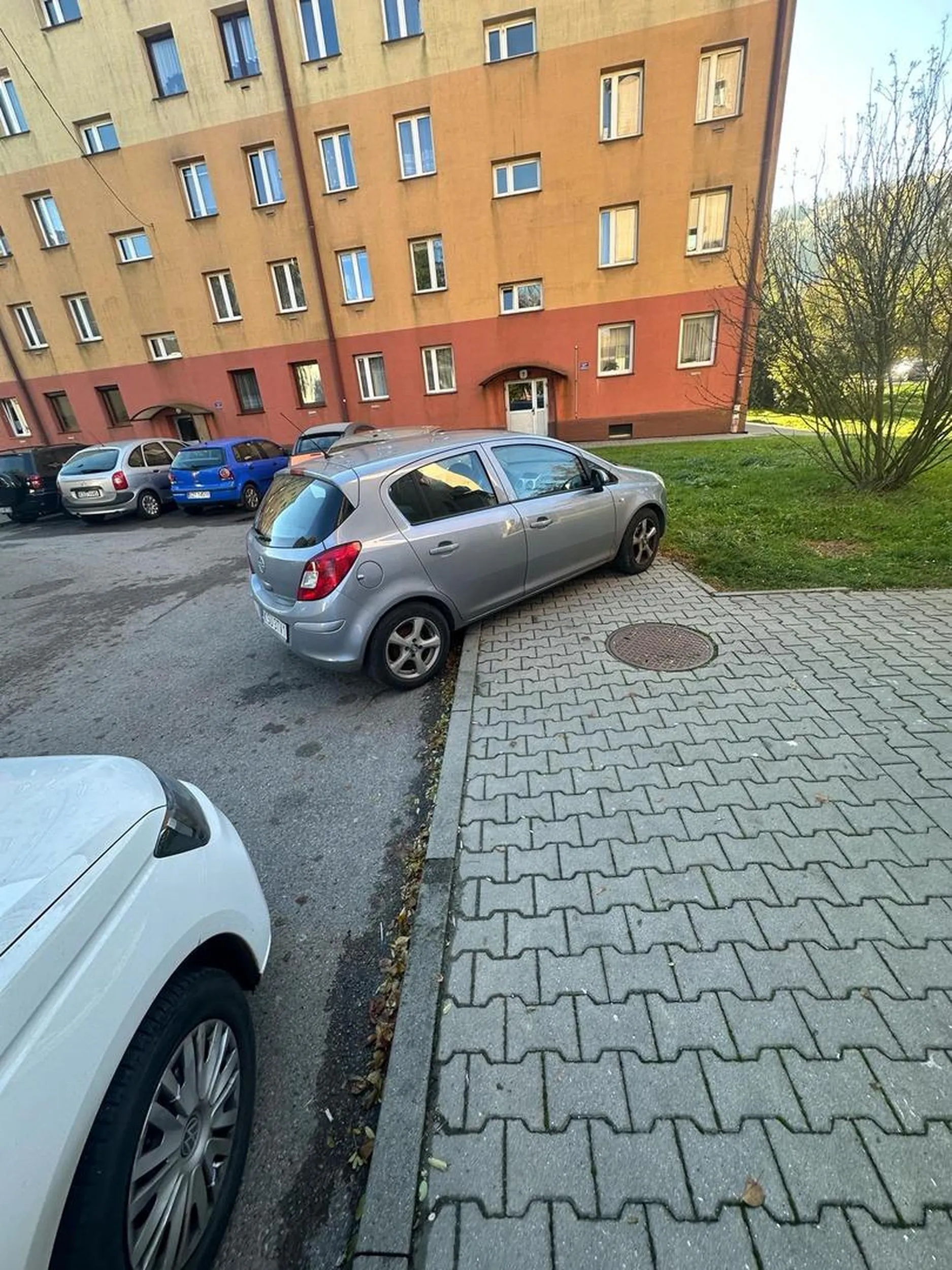 Proszę o nauczenie parkowania oraz o nie zastawianie innych samochodów