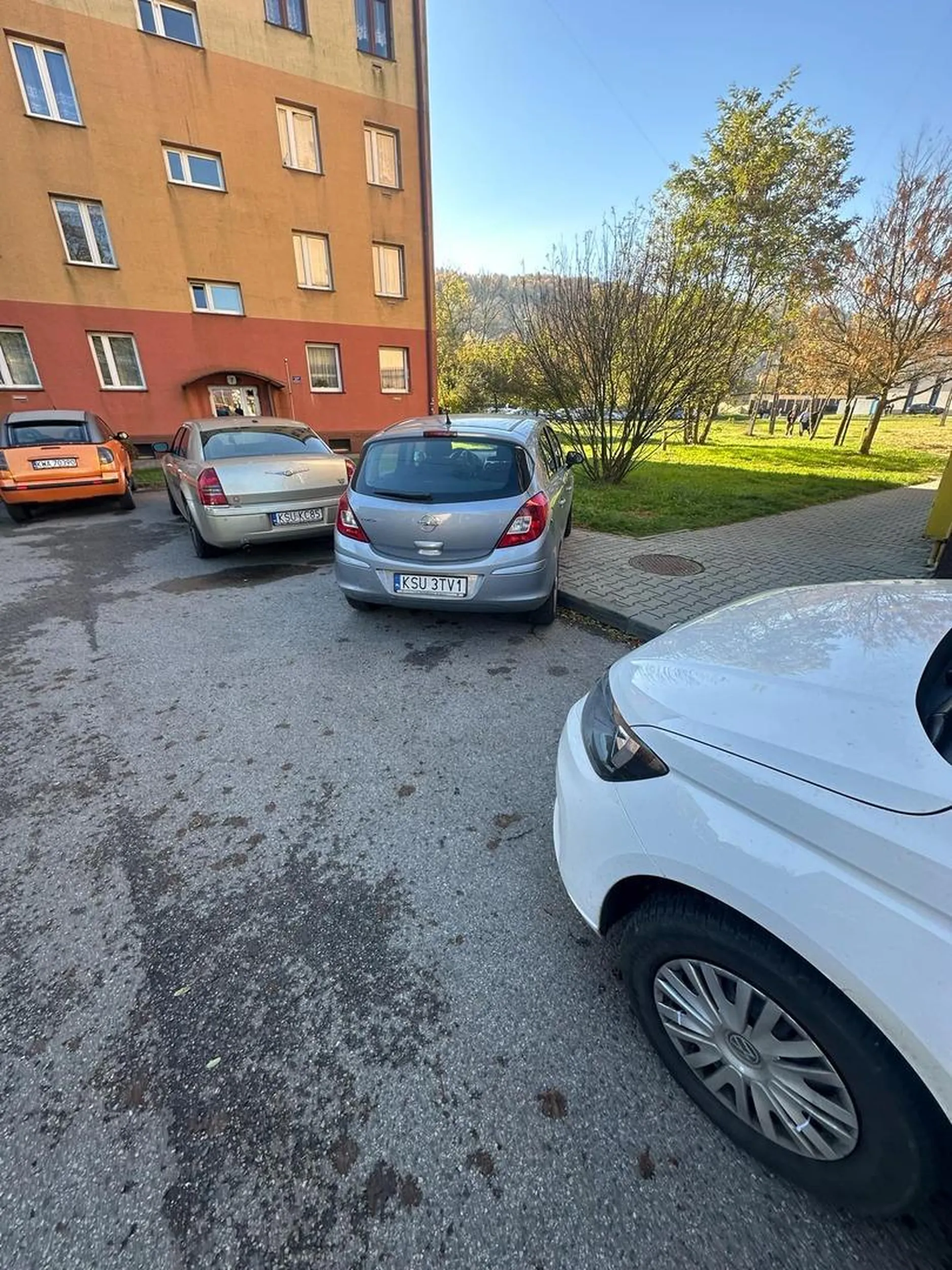 Proszę o nauczenie parkowania oraz o nie zastawianie innych samochodów