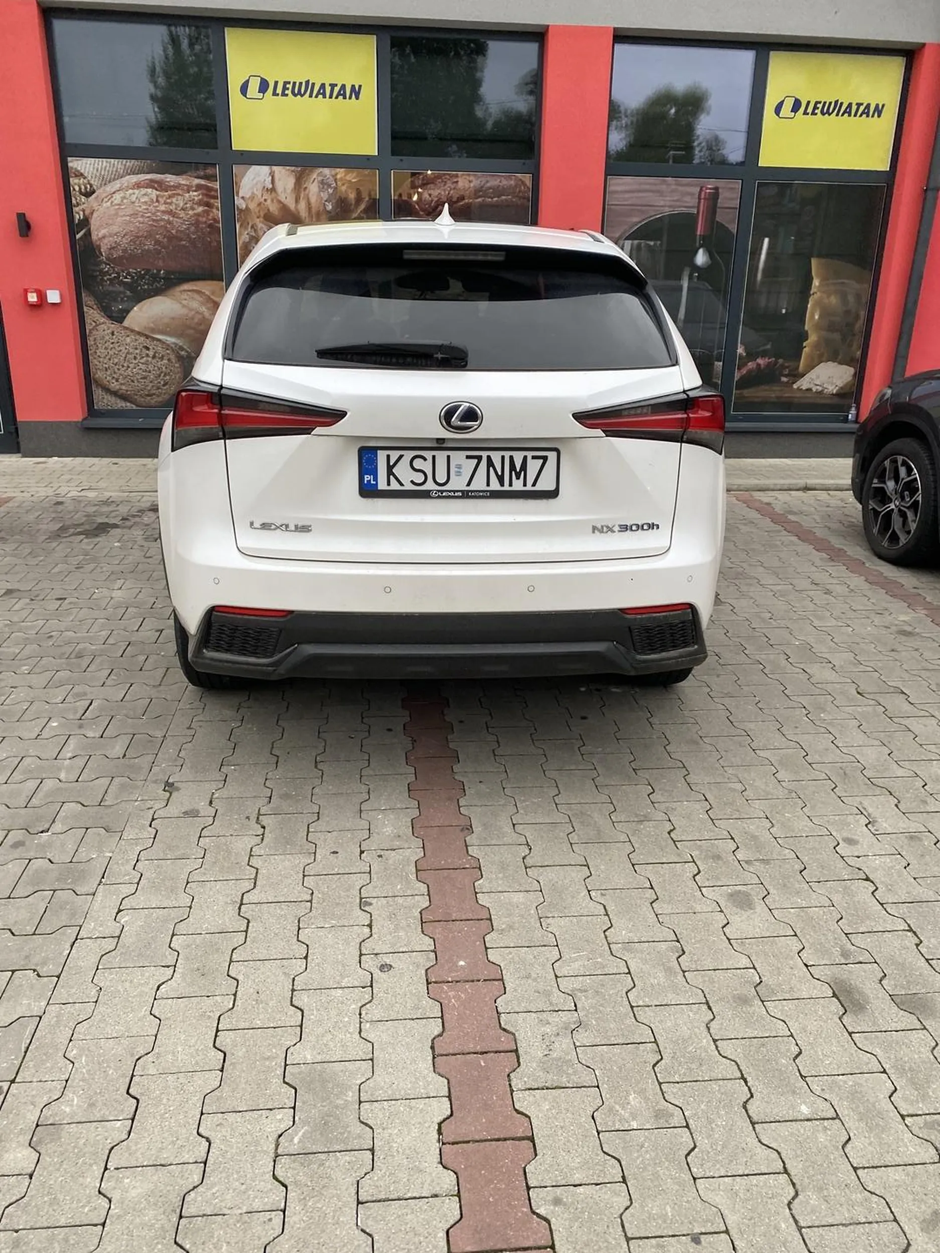 Pani na moich oczach, perfidnie zajęła  2 miejsca. Kiedy miałam nadzieję, że może jeszcze poprawi pozycję parkowania, zgasiła silnik. Nie ukrywam, było mi trochę przykro ?