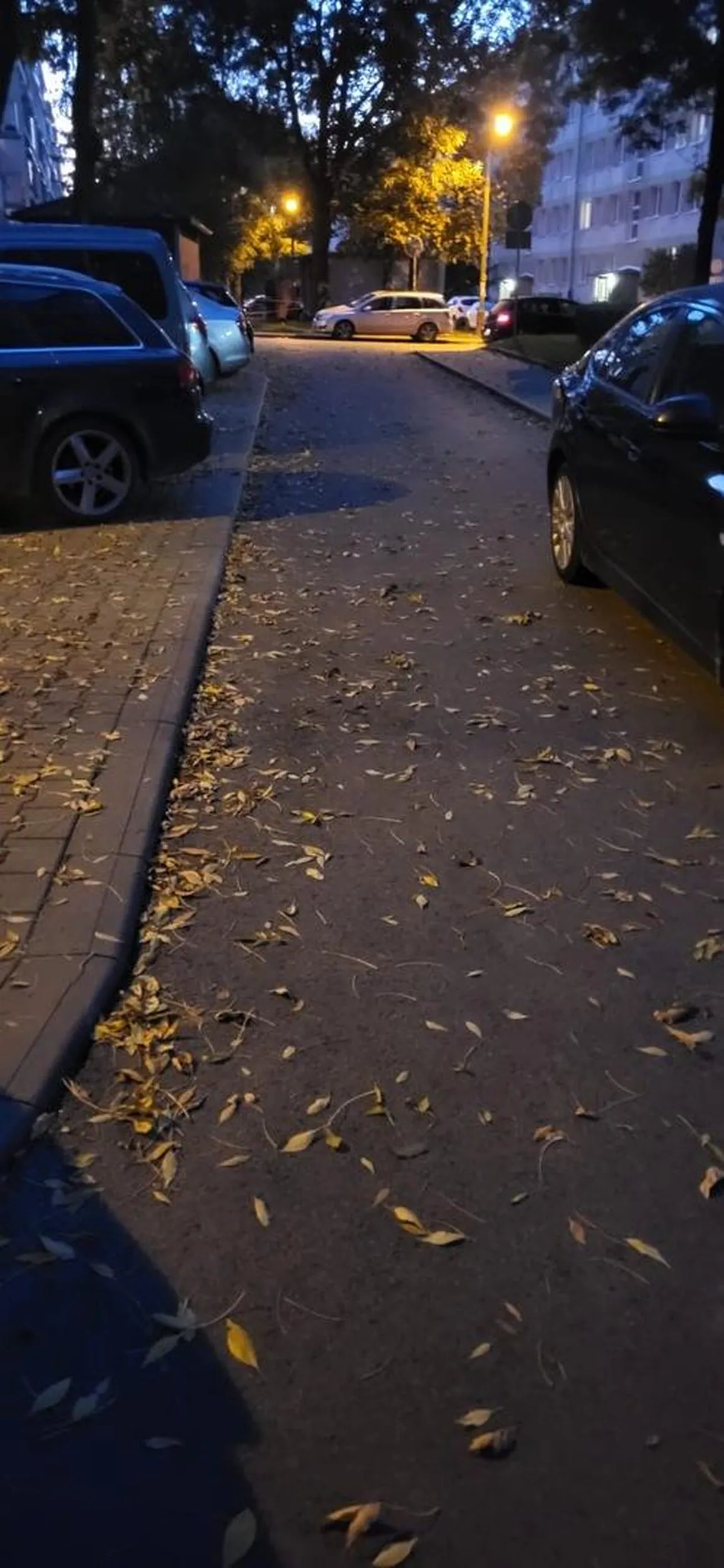 Kutas nie umie parkować