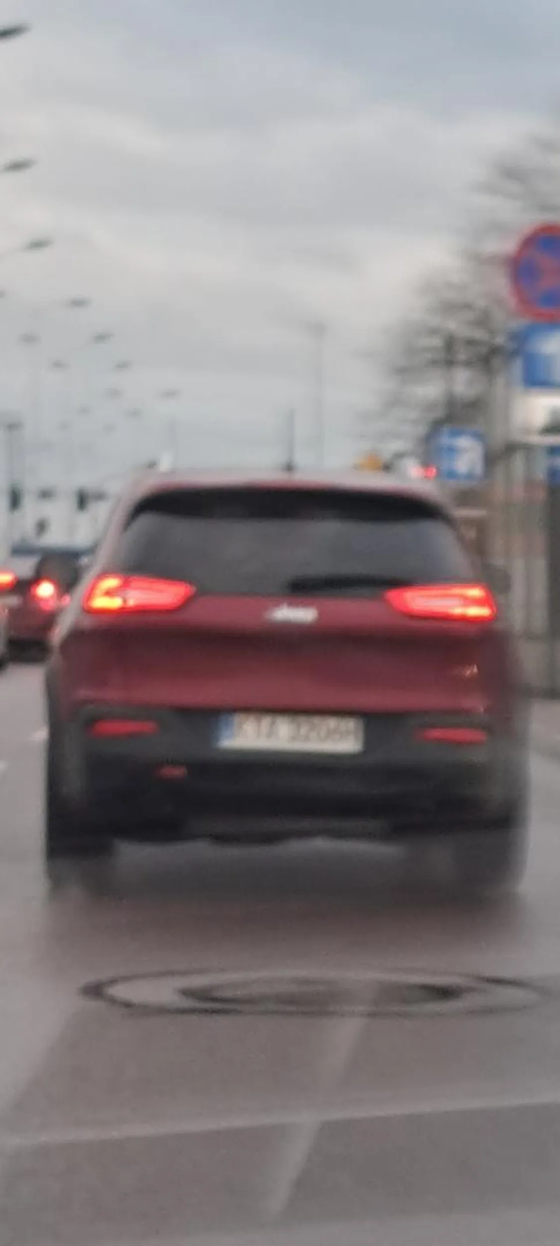 Polecam oddać prawo jazdy z powrotem do paczki czipsów. Patrzenie w lusterka i nie spychanie innych aut z drogi nie boli. Chyba że ameba za kierownicą nie wyewoluowała oczu.