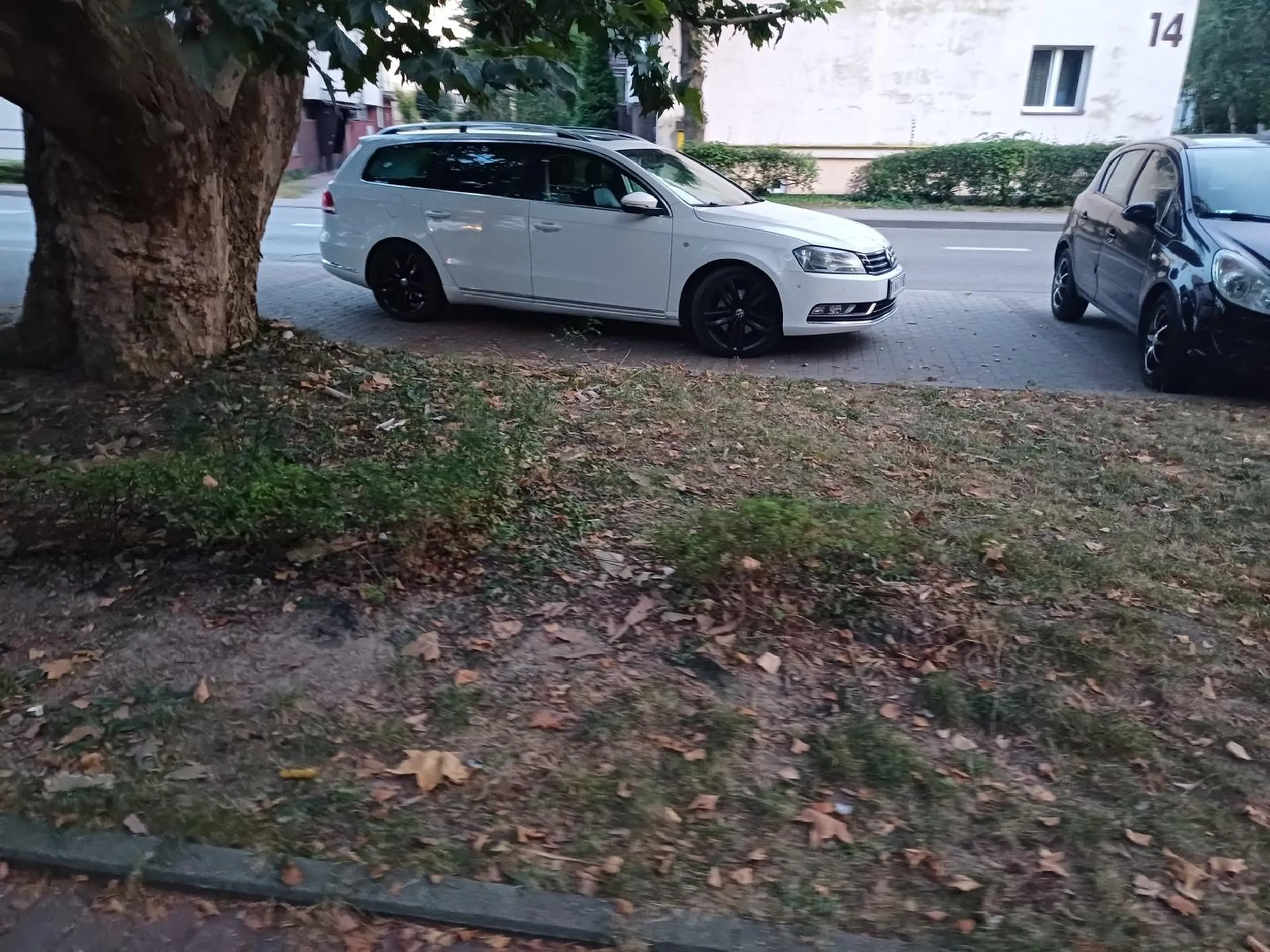 Śmieć nie umie parkować