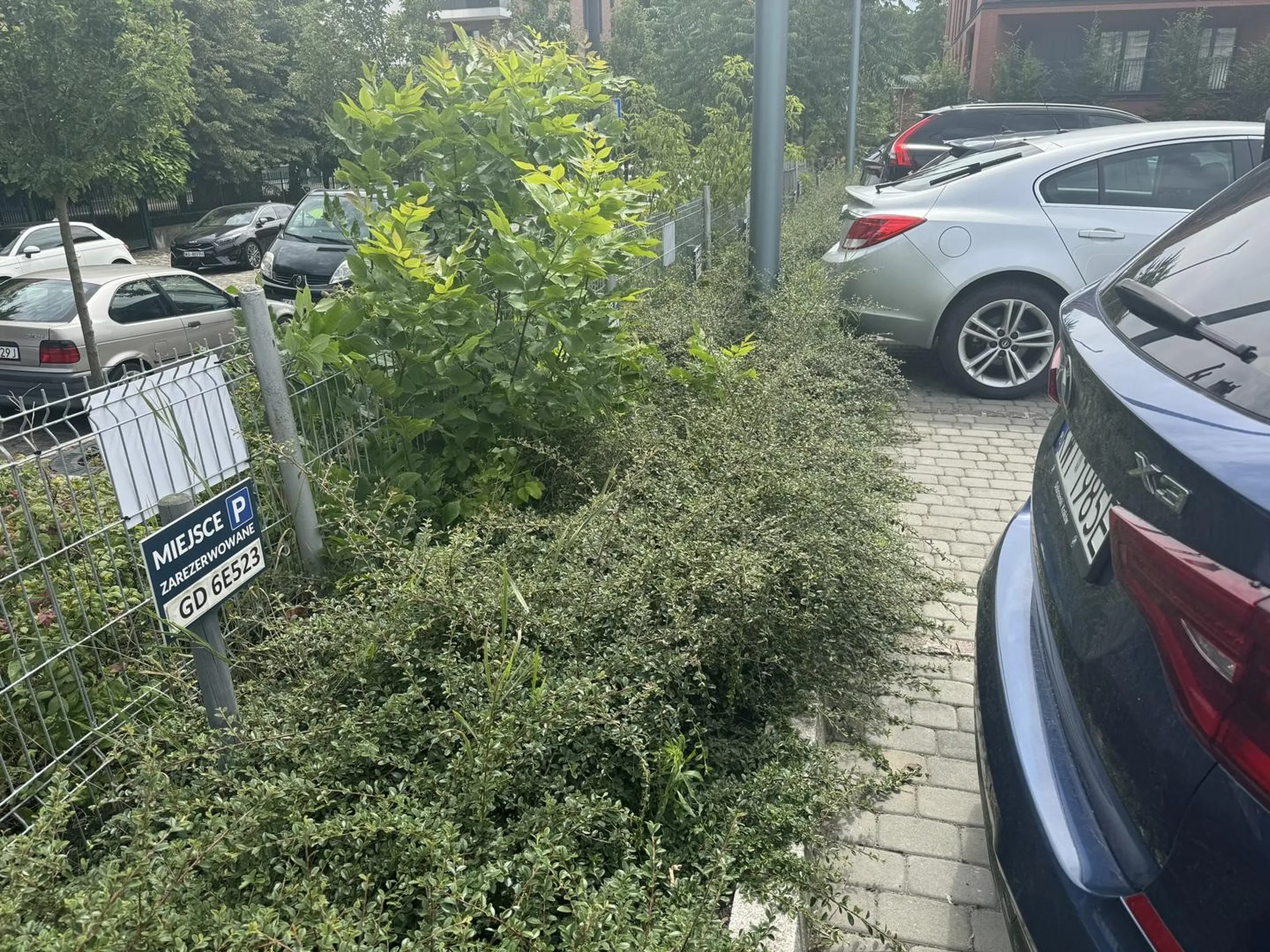 Pan Kierowca ma problem z czytaniem  ze zrozumieniem i zajmuje zarezerowane miejsce parkingowe.