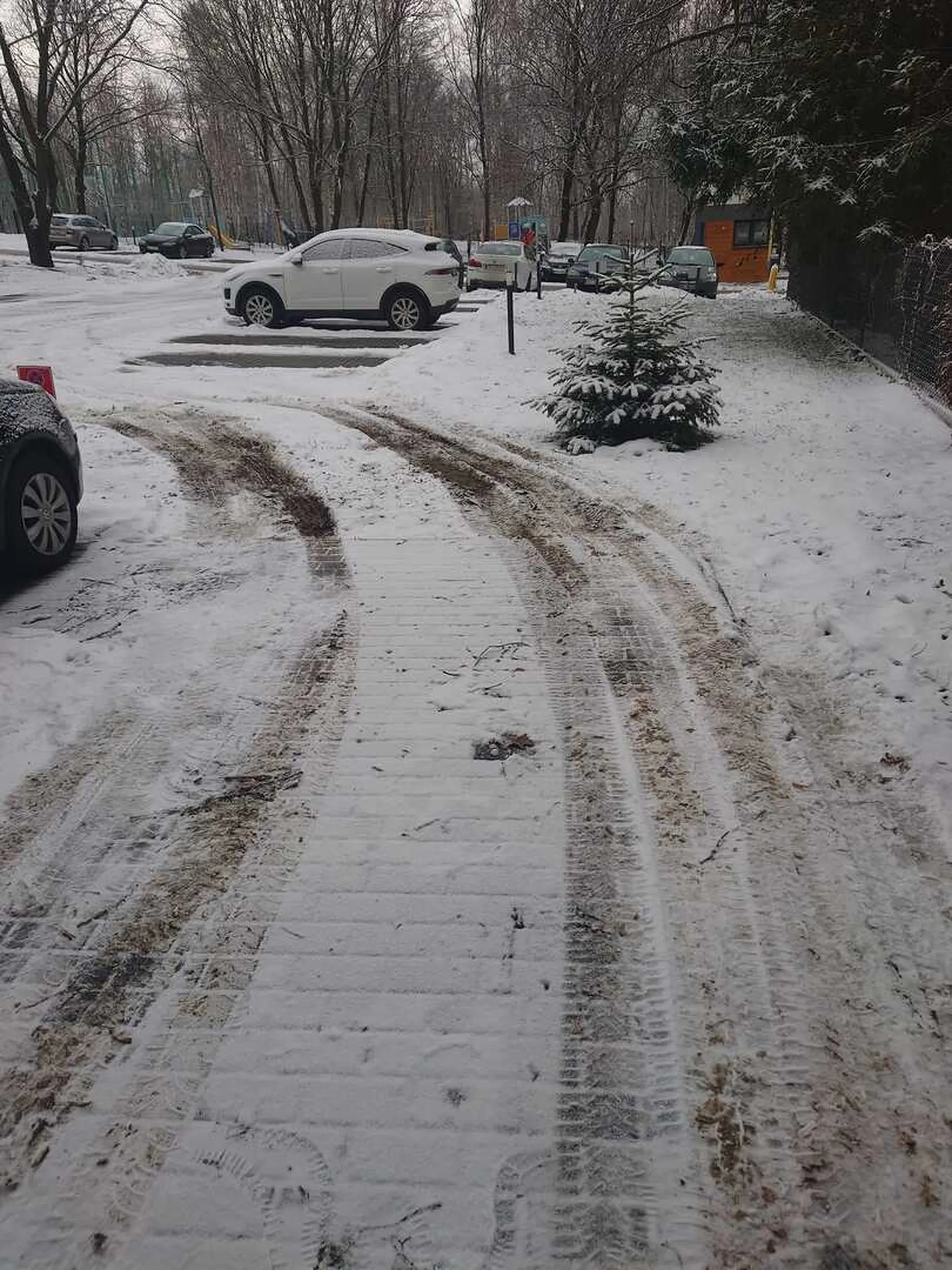 Nielegalnie wjeżdża na osiedle przez trawnik, aby ominąć szlaban.