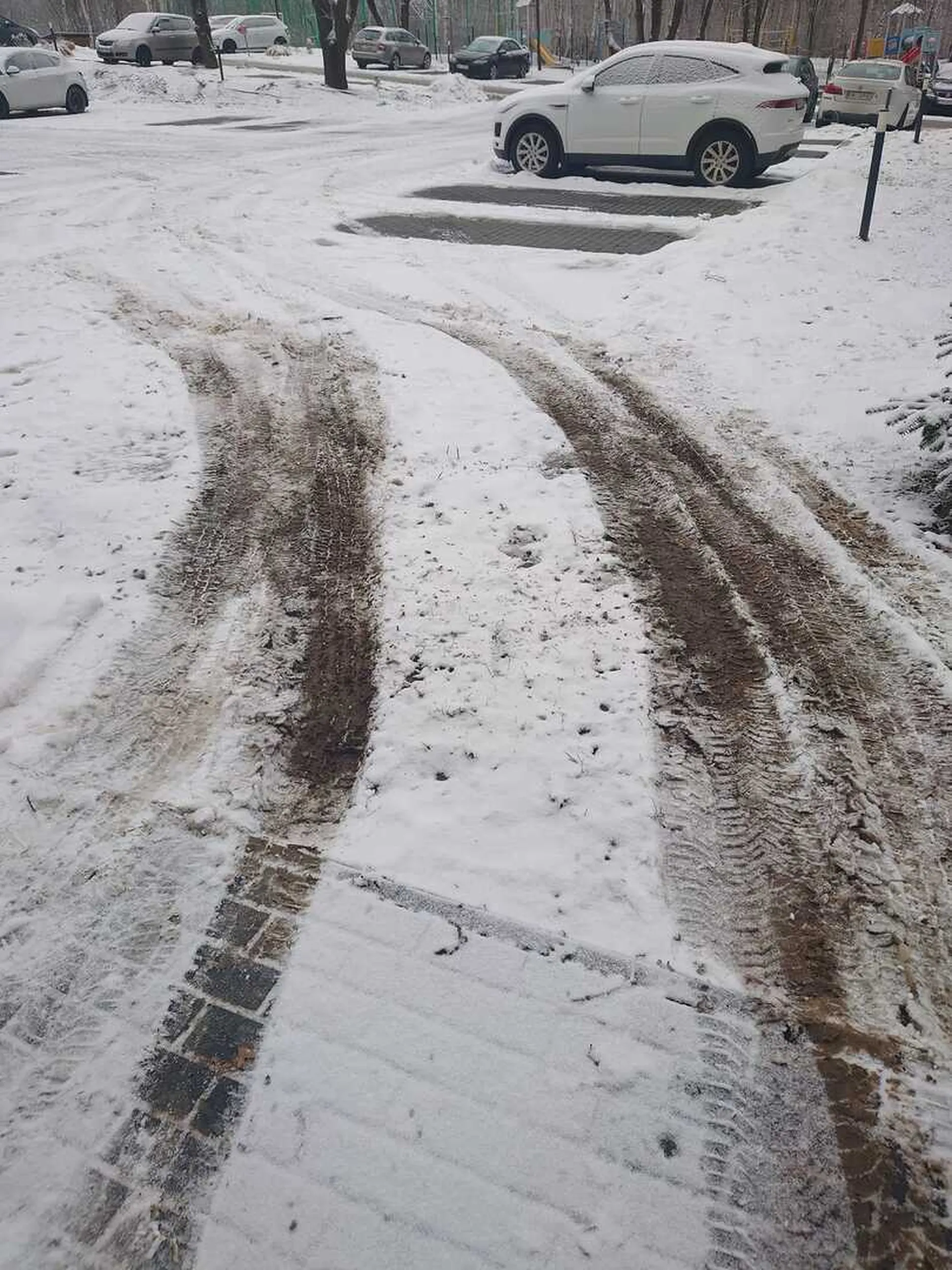 Nielegalnie wjeżdża na osiedle przez trawnik, aby ominąć szlaban.