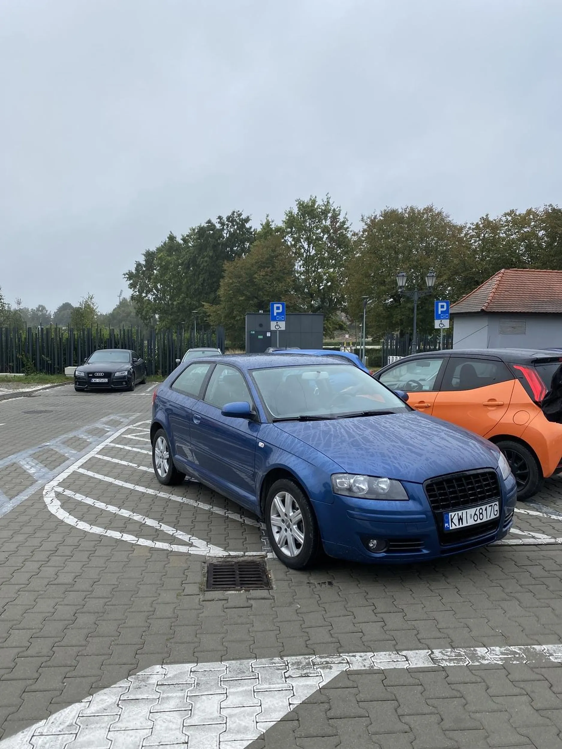 Gość co parkuje ja cię sunę