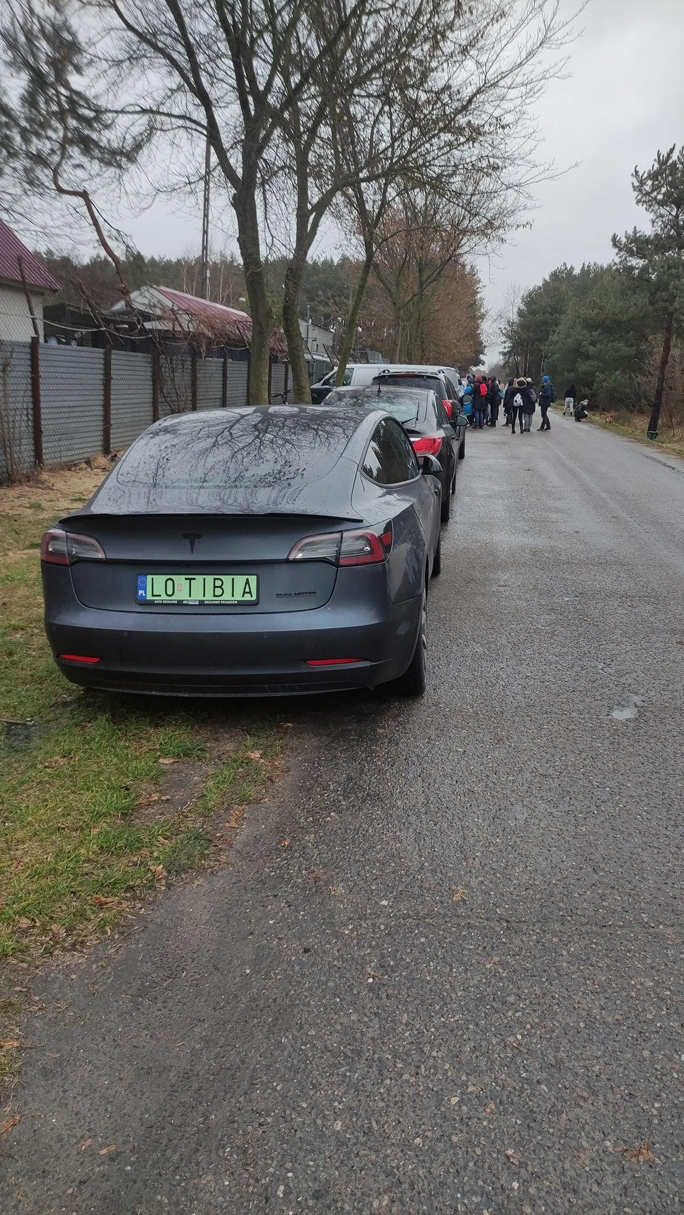 Szacun dla tibijczyka za fajną blachę i wyprowadzanie piesków ze schroniska ??