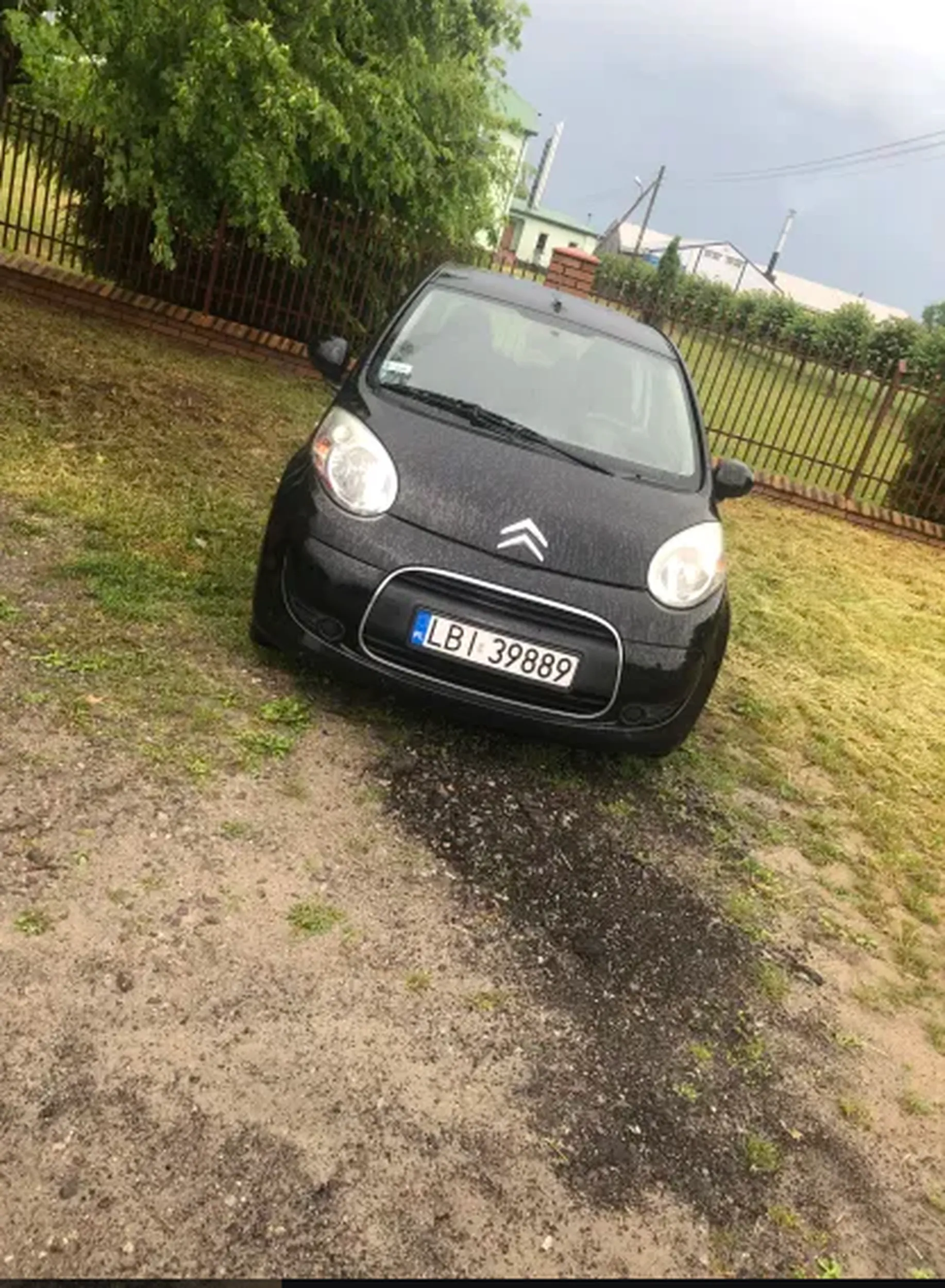 prawo jazdy wygrane w płatkach a o parkowaniu nie wspomnę