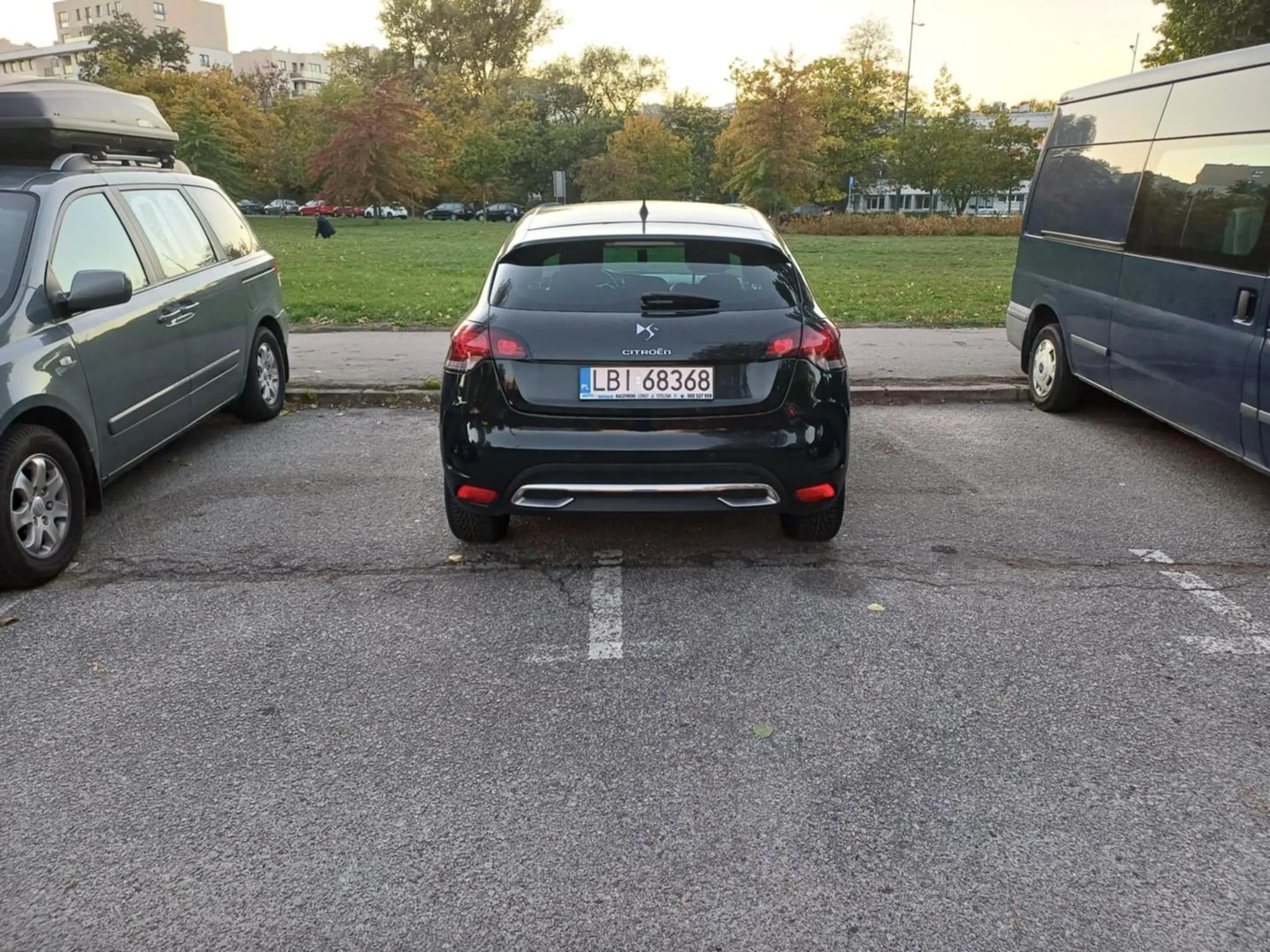 Pastuch chyba pierwszy raz zabłądził do miasta i parking pomylił z pastwiskiem.