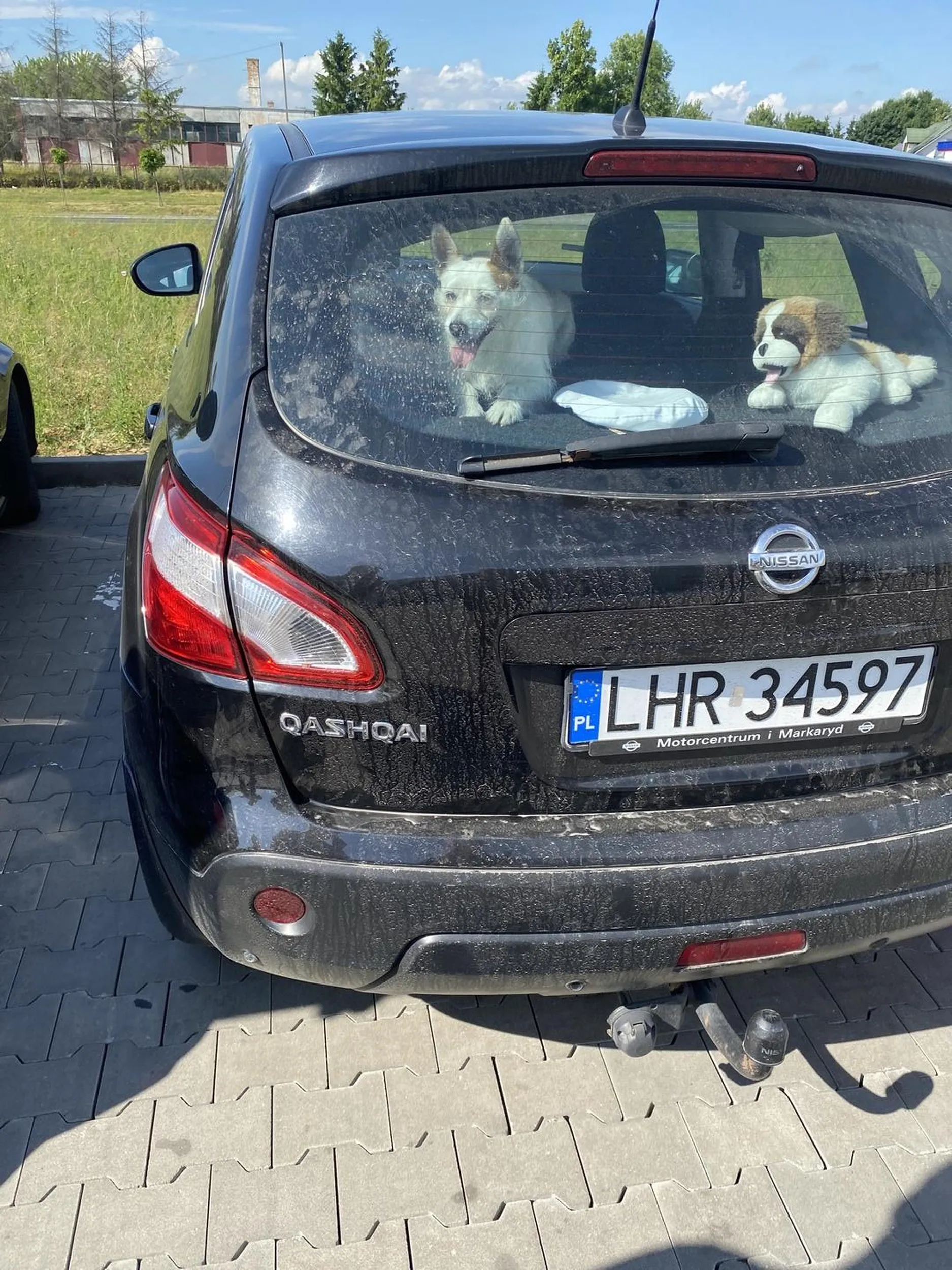 Szkoda  żeby piesek się zagotował w aucie a była w otwarta  szyba przednia i to nawet nie 6 cm :) baran.