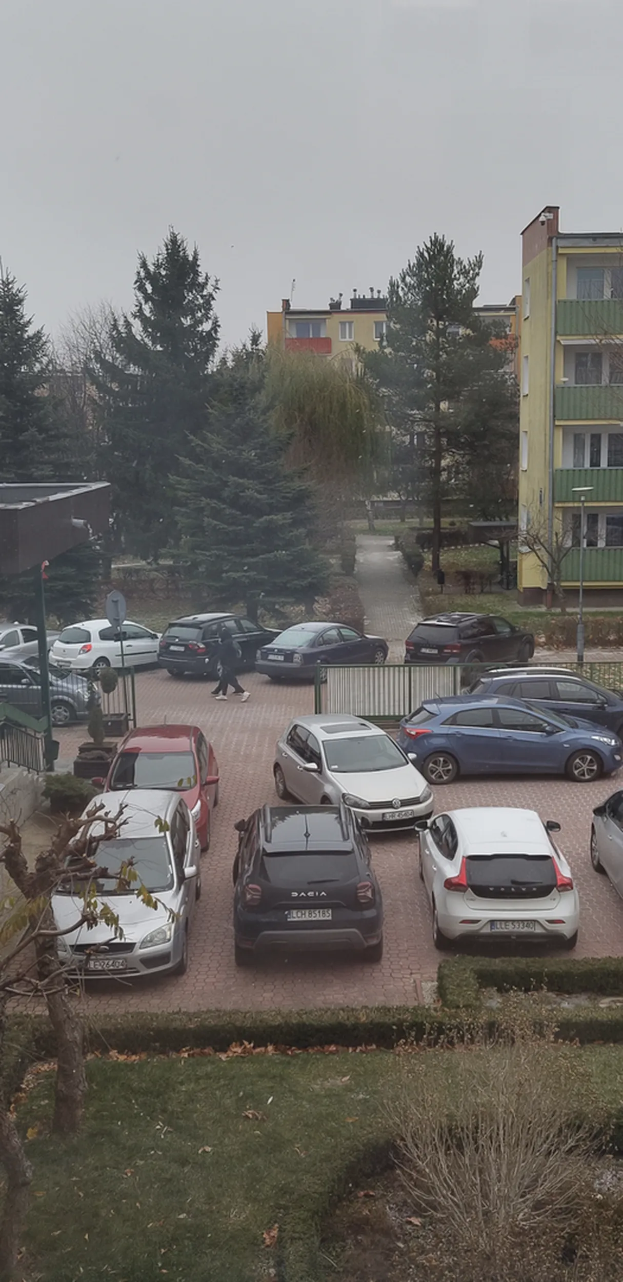 Kierowca nie umie parkować przy własnym miejscu pracy