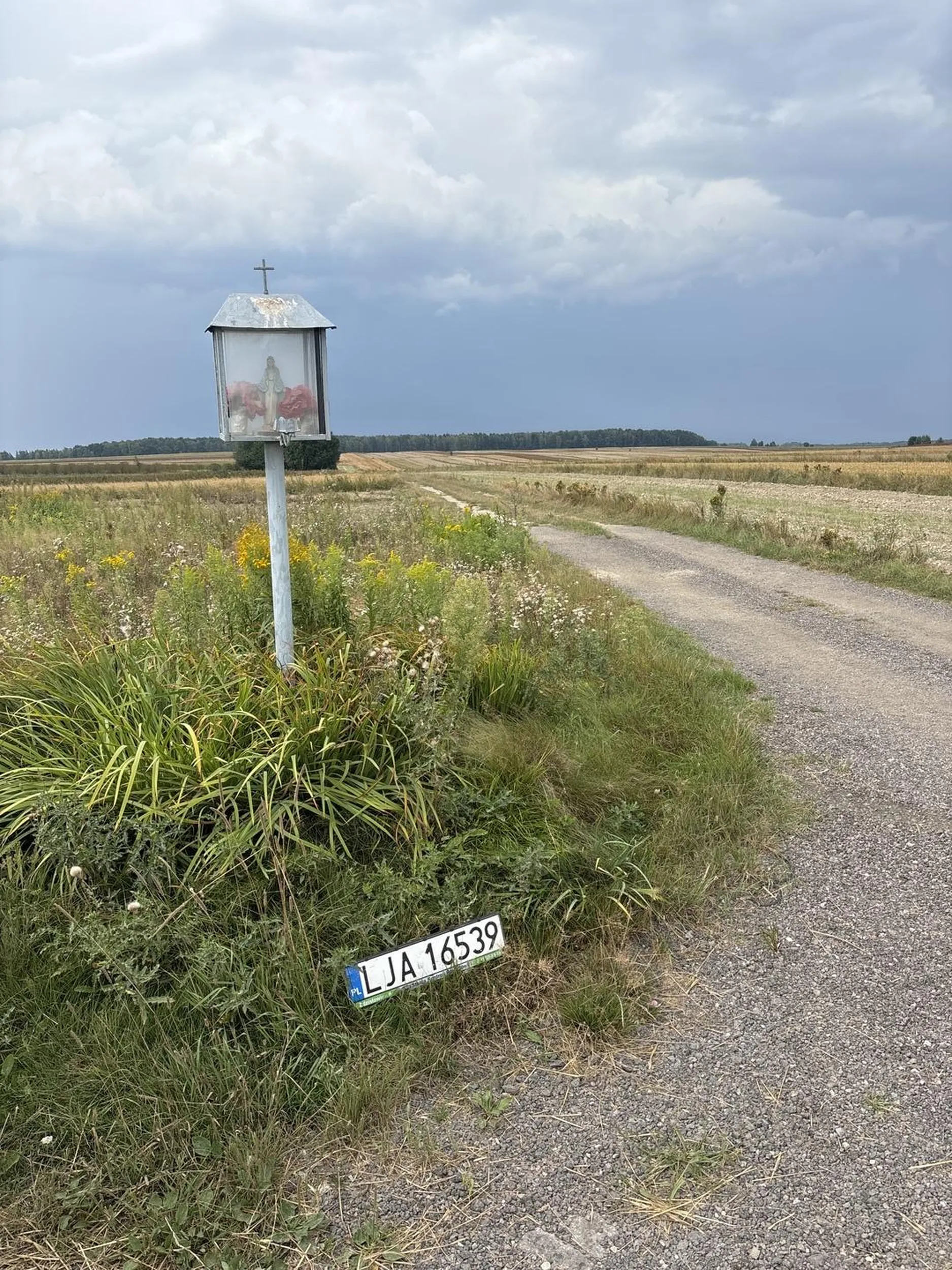 Kolega blacha ci spadła