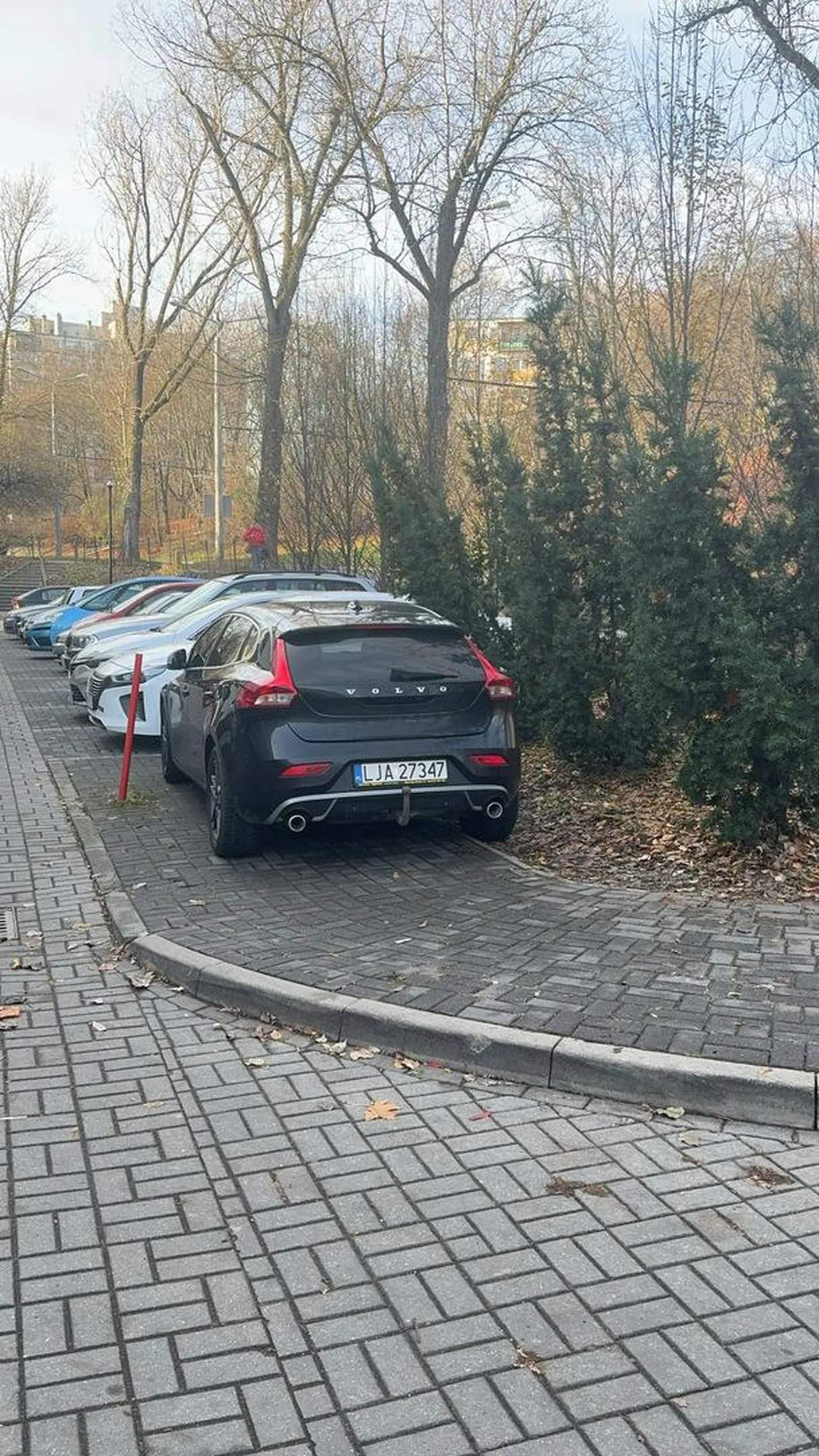 Ważne że znalazł miejsce parkingowe