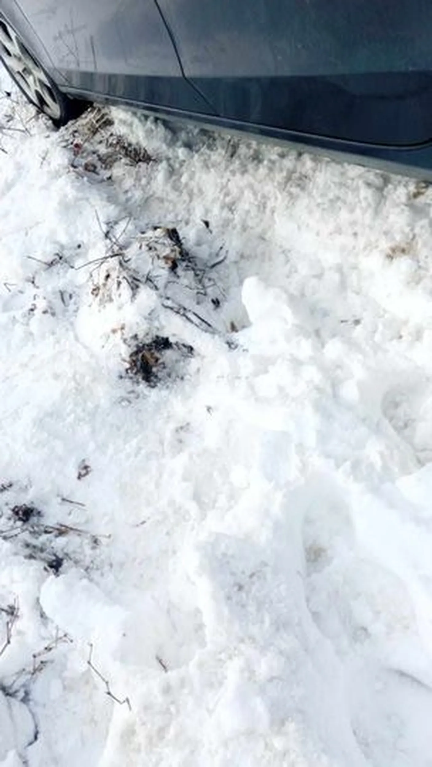 Pijany kierowca czesto prowadzi po alko ostatnio wiozl 9 osob w samochodzie przeglad nie robiony od przynajmniej 12 lat i bardzo duzo wypadkow samochodwych spowodowanych przez tego uzytkownika