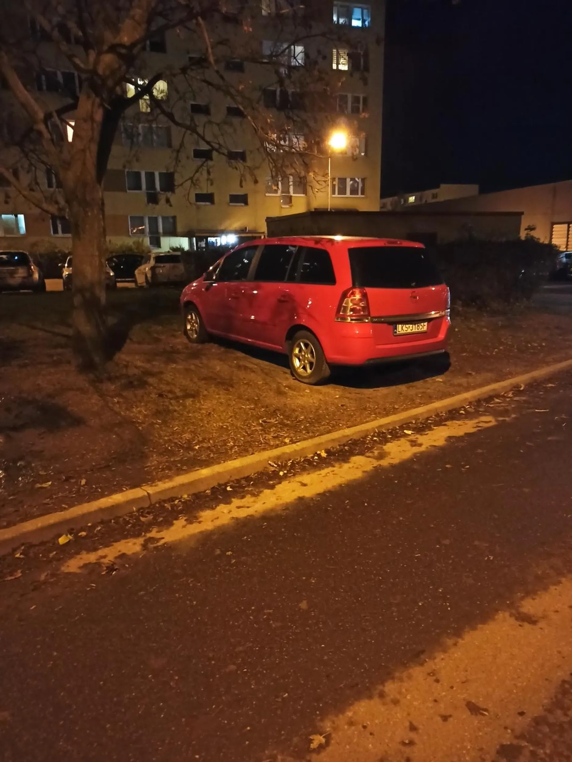 Bezczelna dewastacja trawnika w Piotrkowie Trybunalskim!