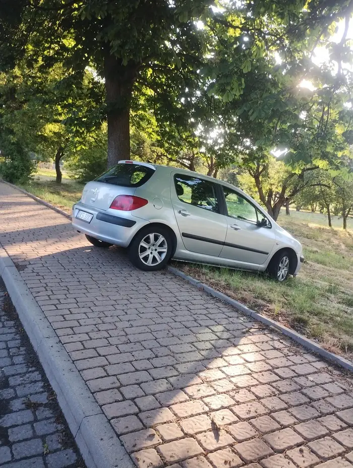 Mistrz parkowania nie ma co