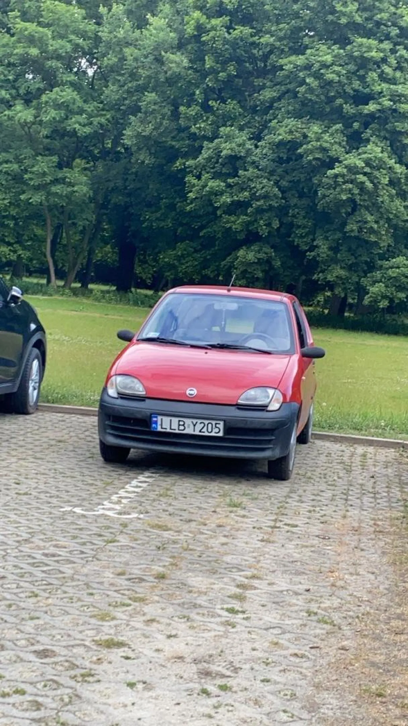 Pani miała jedno zadanie...