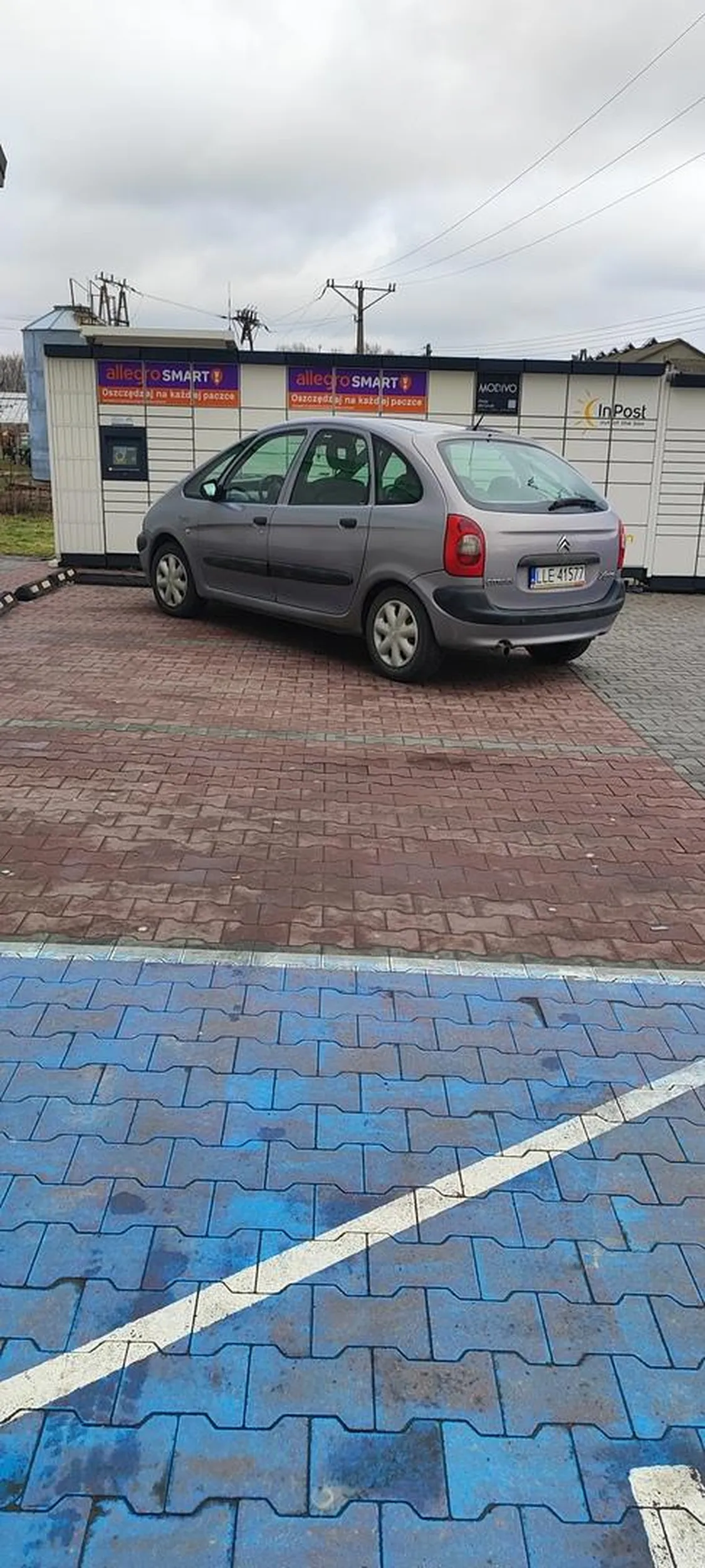 Mistrz parkowania pod stokrotką