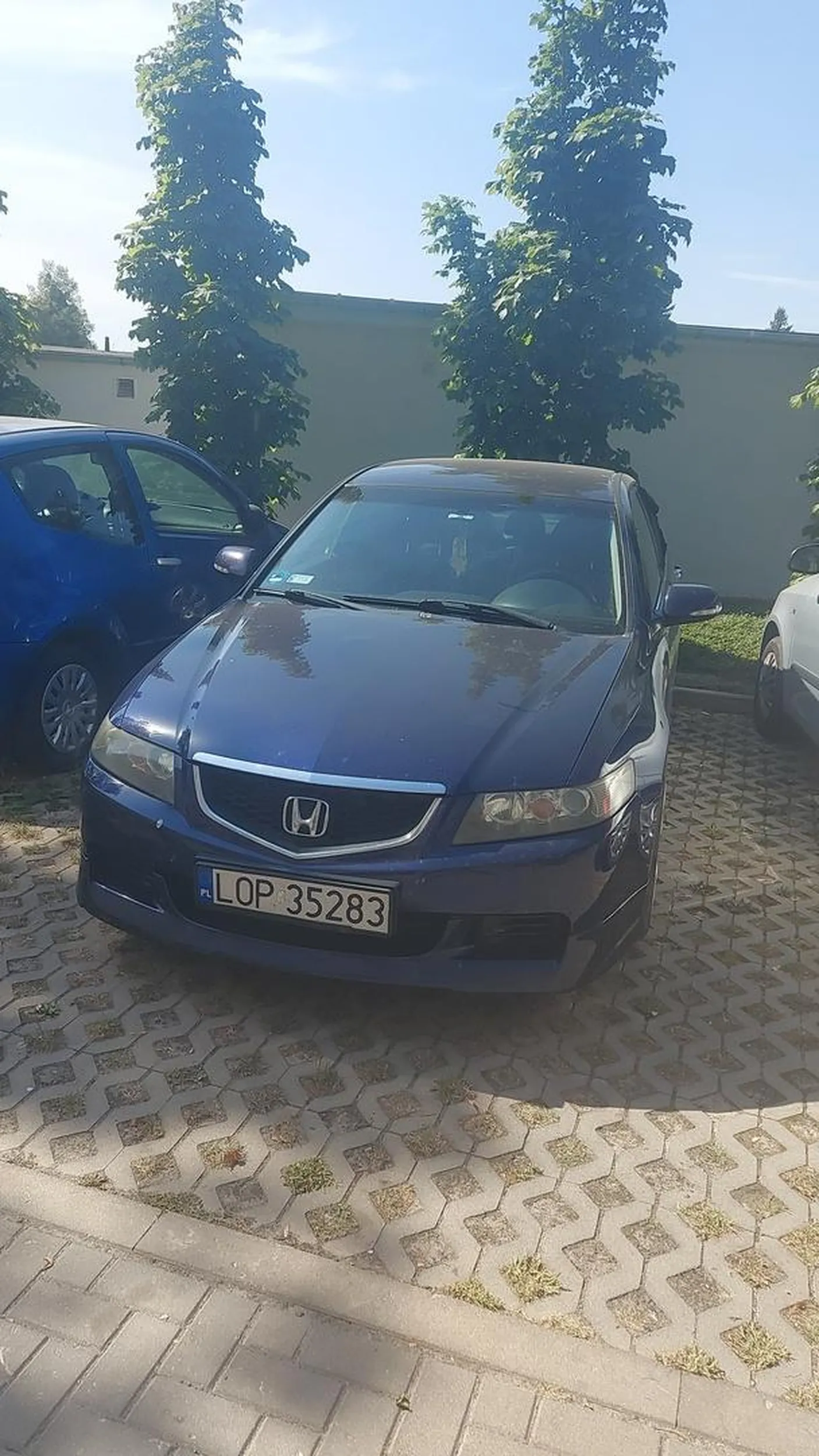 Nie umie parkować i przekracza prędkość