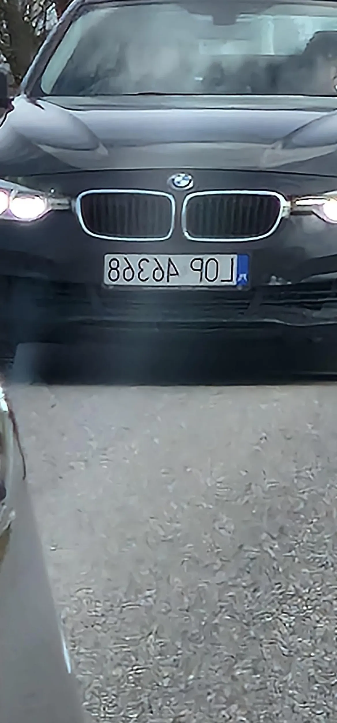 Oszuści i złodzieje