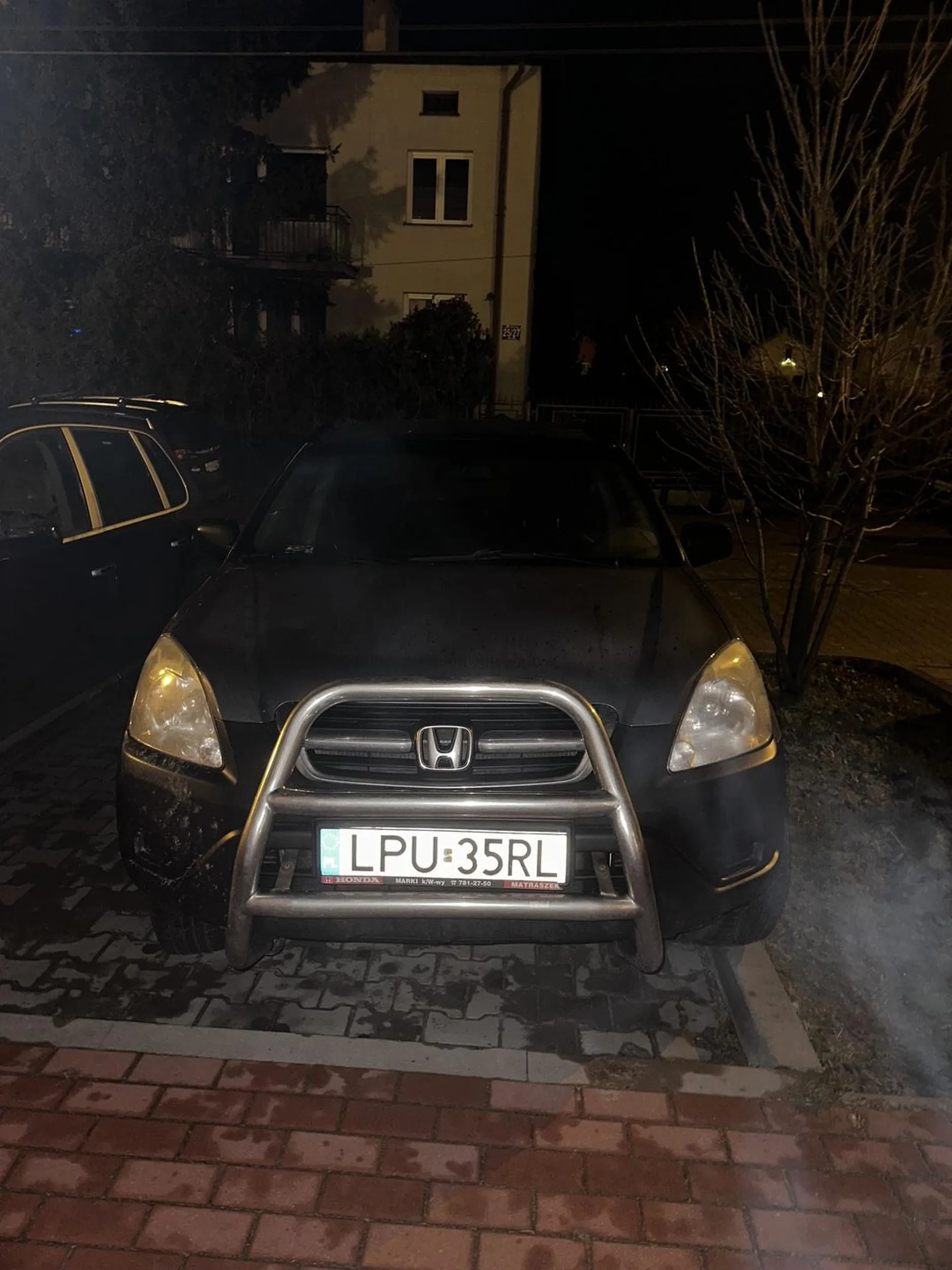 Mistrz parkowania krawężników