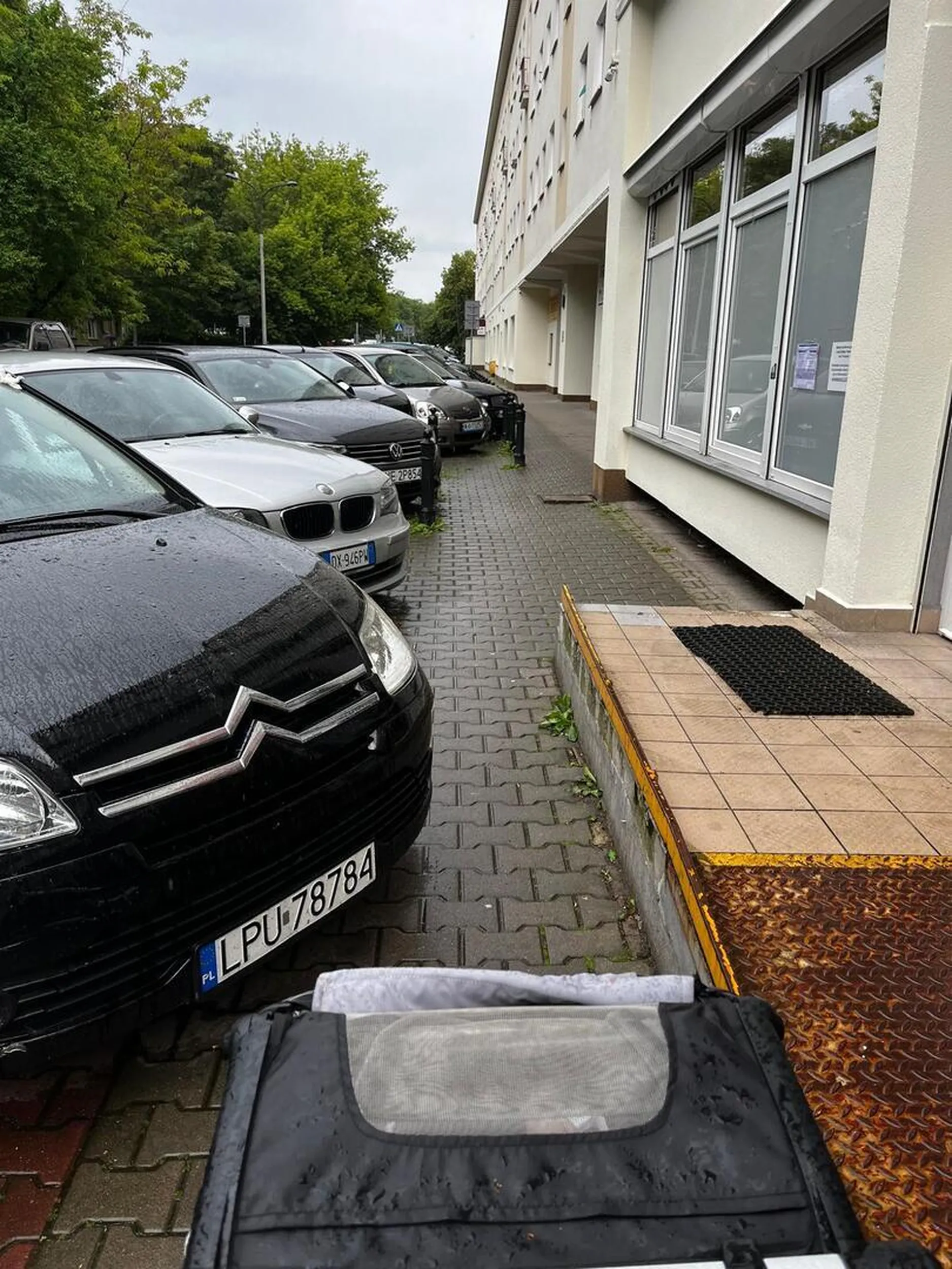 Spacer w wózkiem się nie uda jak ten osobnik opanuje chodnik...