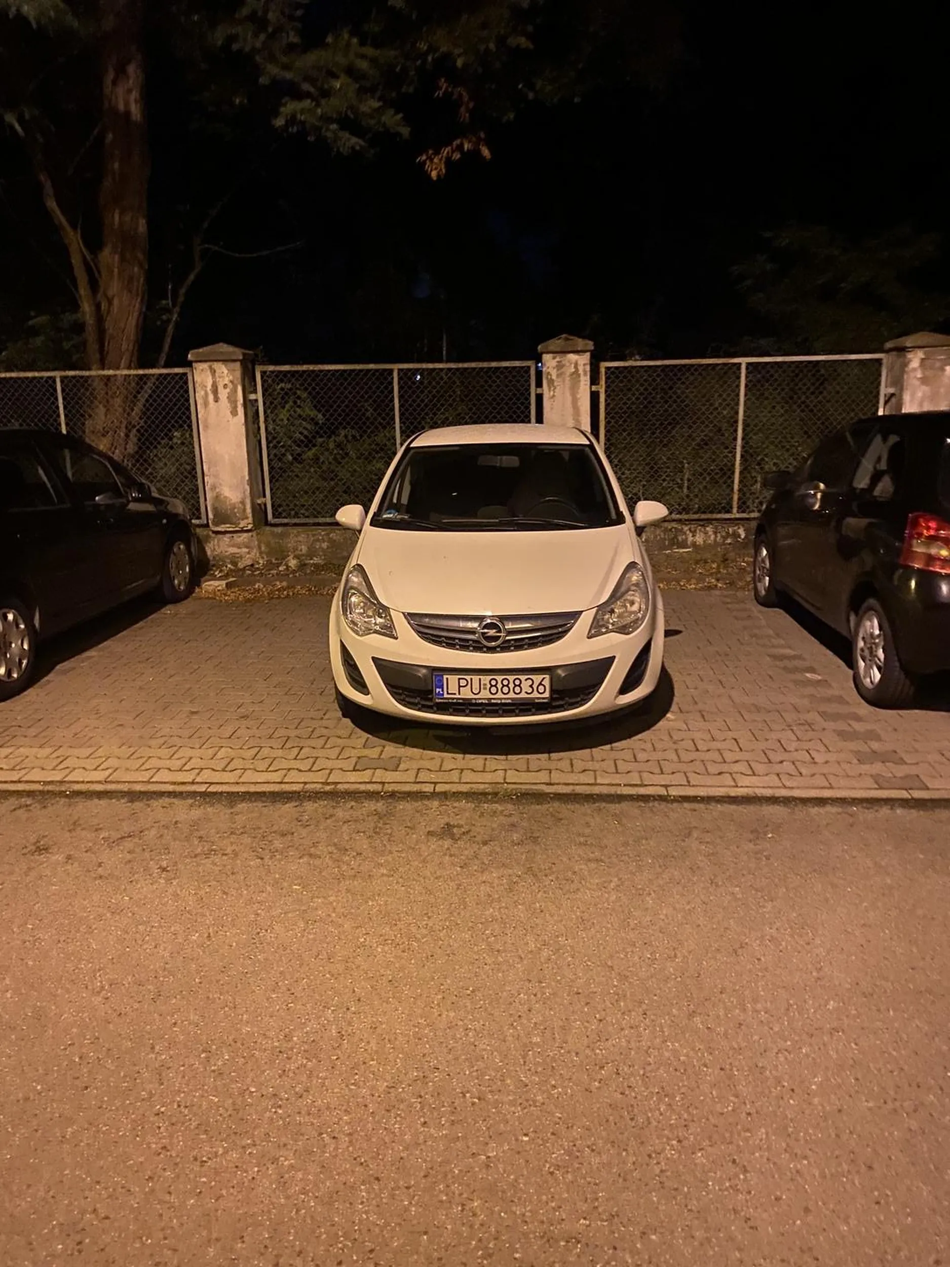 Klękajcie narody,naucz sie parkować czereśniaku