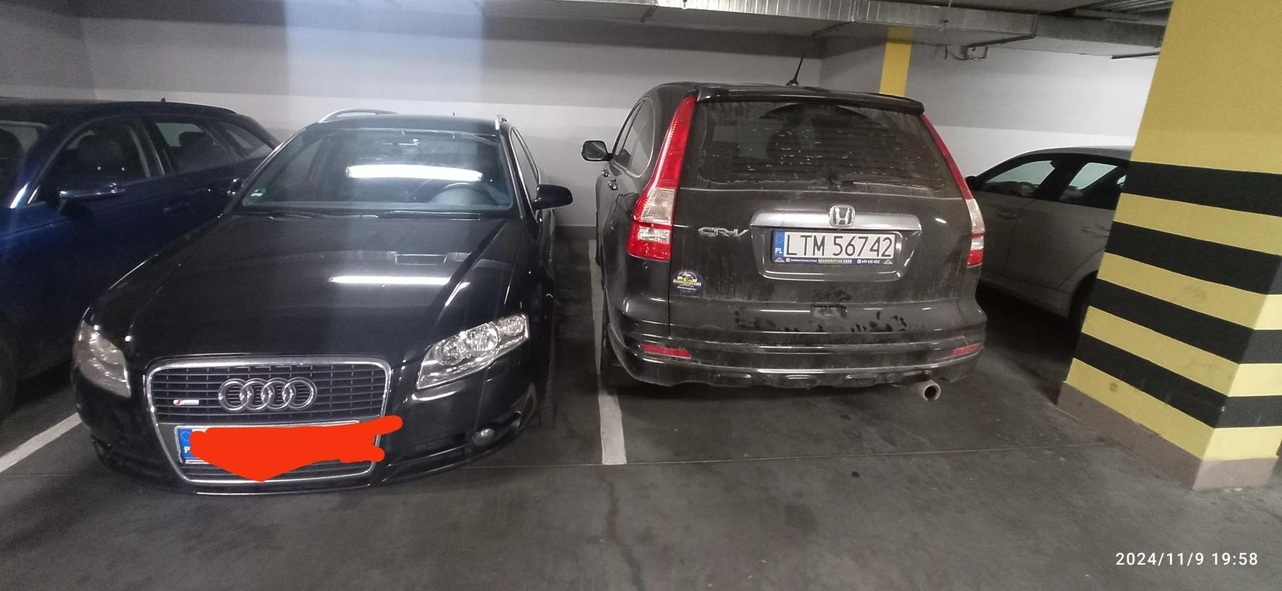 Mózg wielkości orzeszka u kierowcy króla parkowania,  żenada..